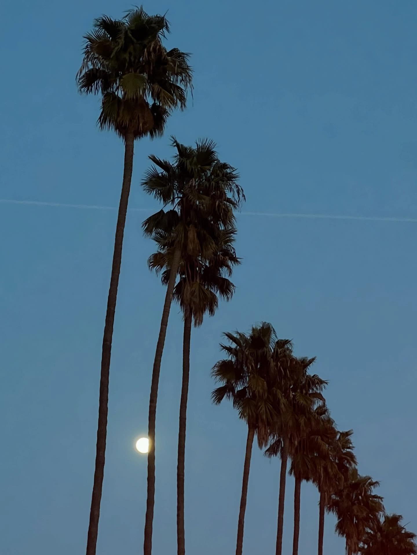 2025 you were *not chill*
manifesting ease &amp; joy for the next one ✌🏼