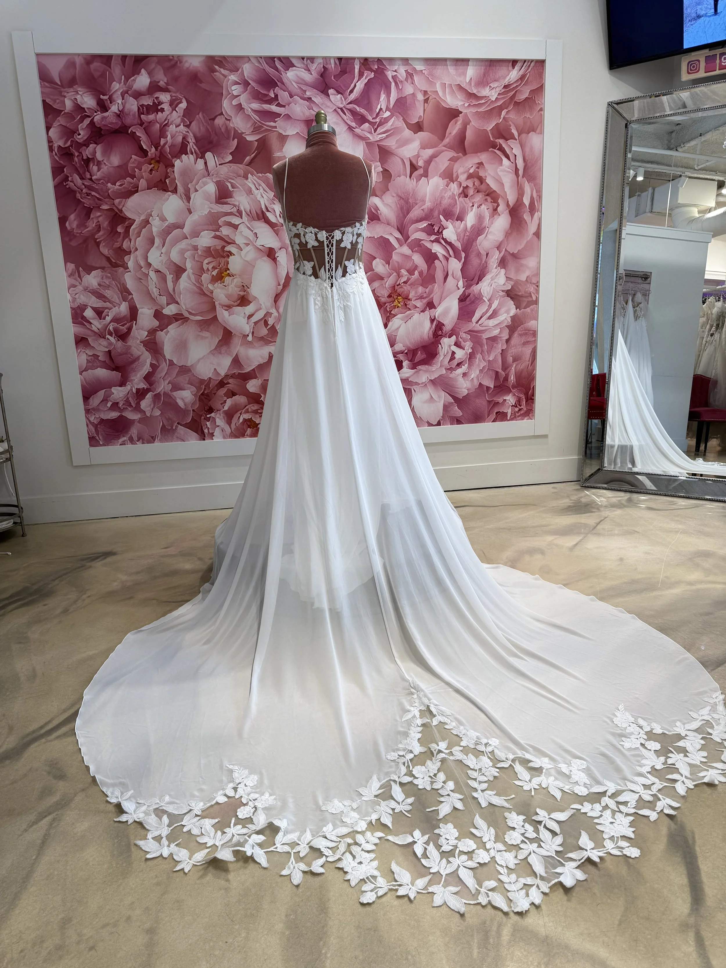 Photo Mar 13 2026, 3 25 17 PM.jpg