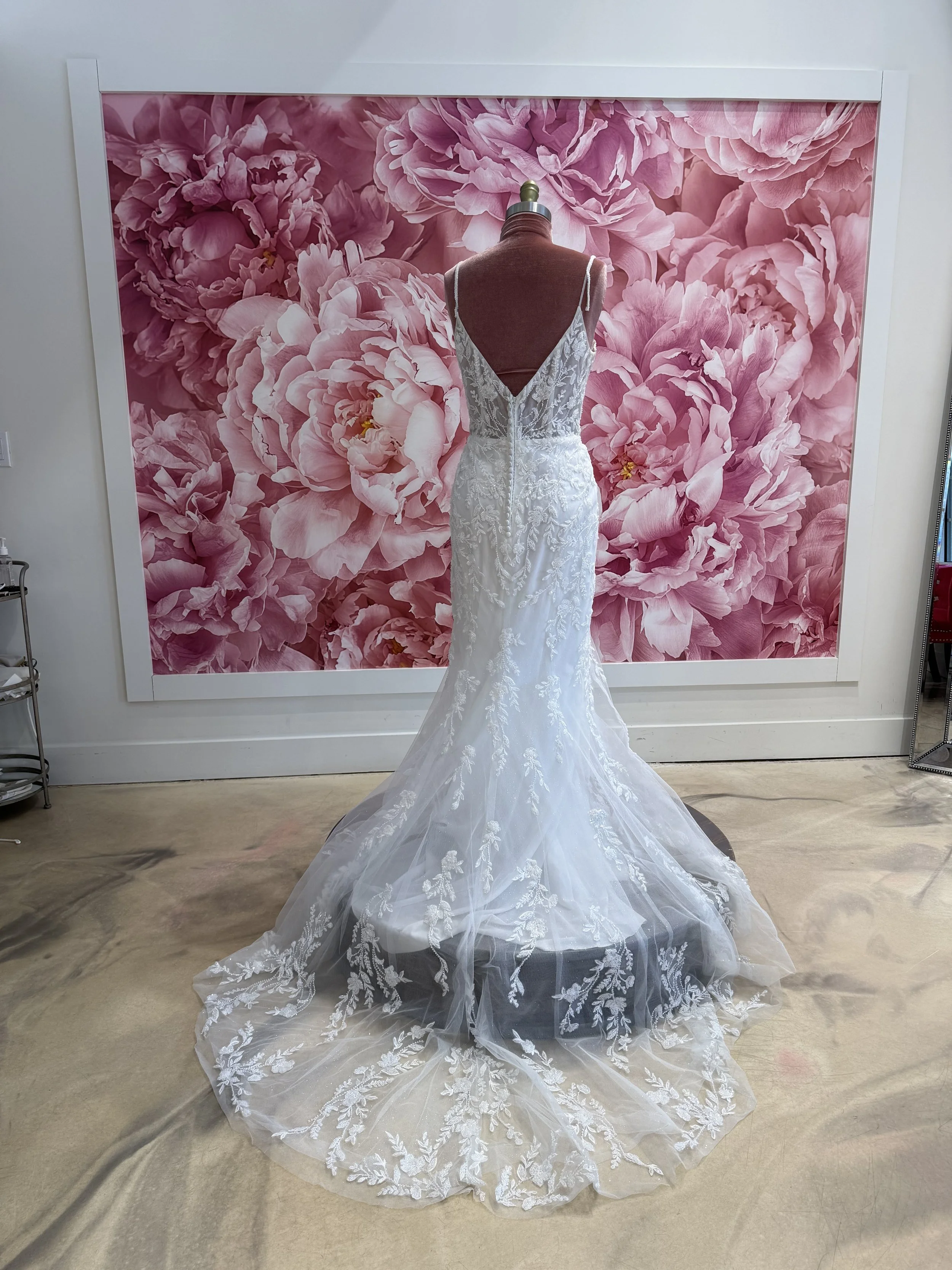 Photo Mar 13 2026, 3 28 50 PM.jpg