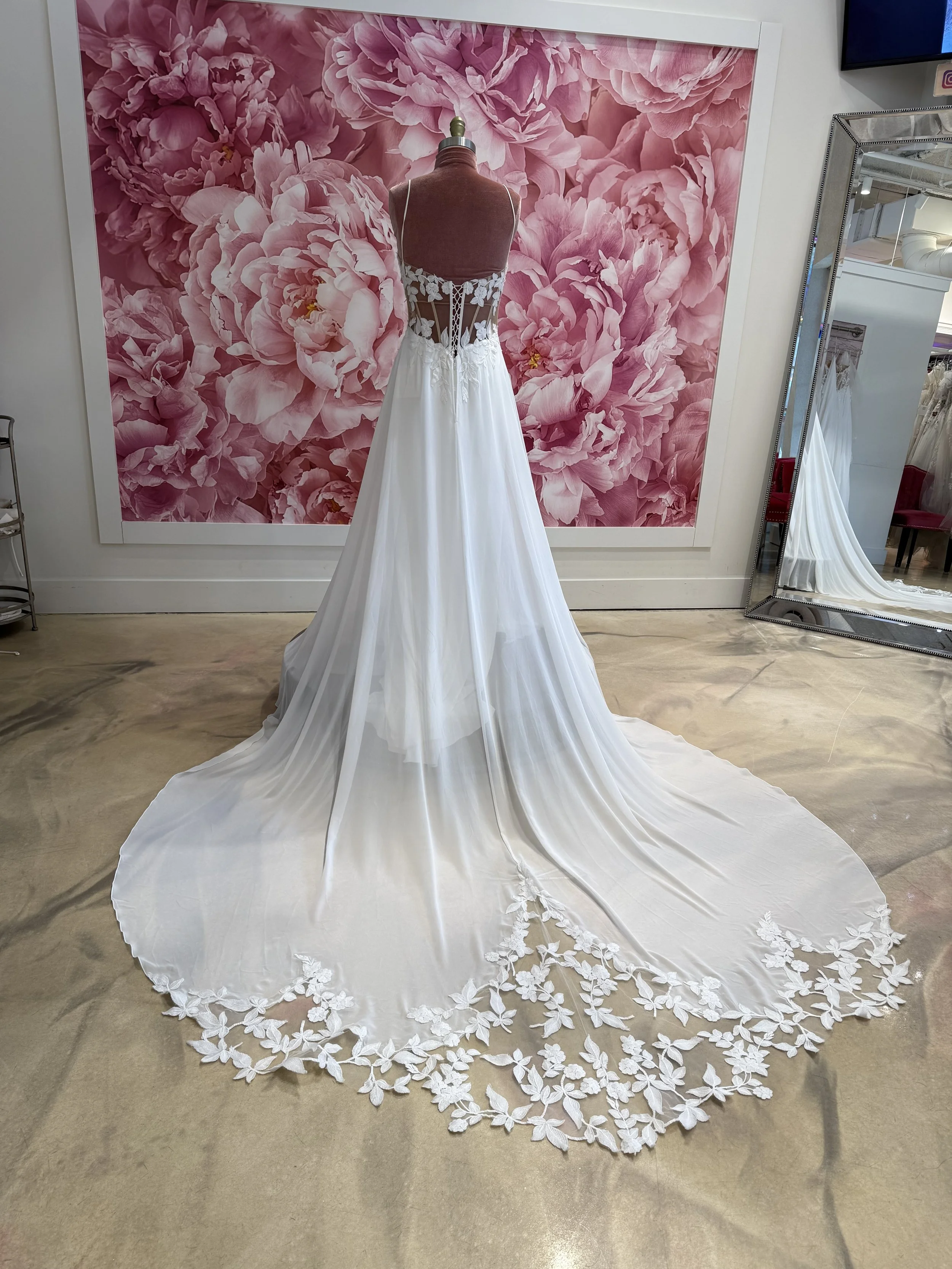 Photo Mar 13 2026, 3 25 14 PM.jpg