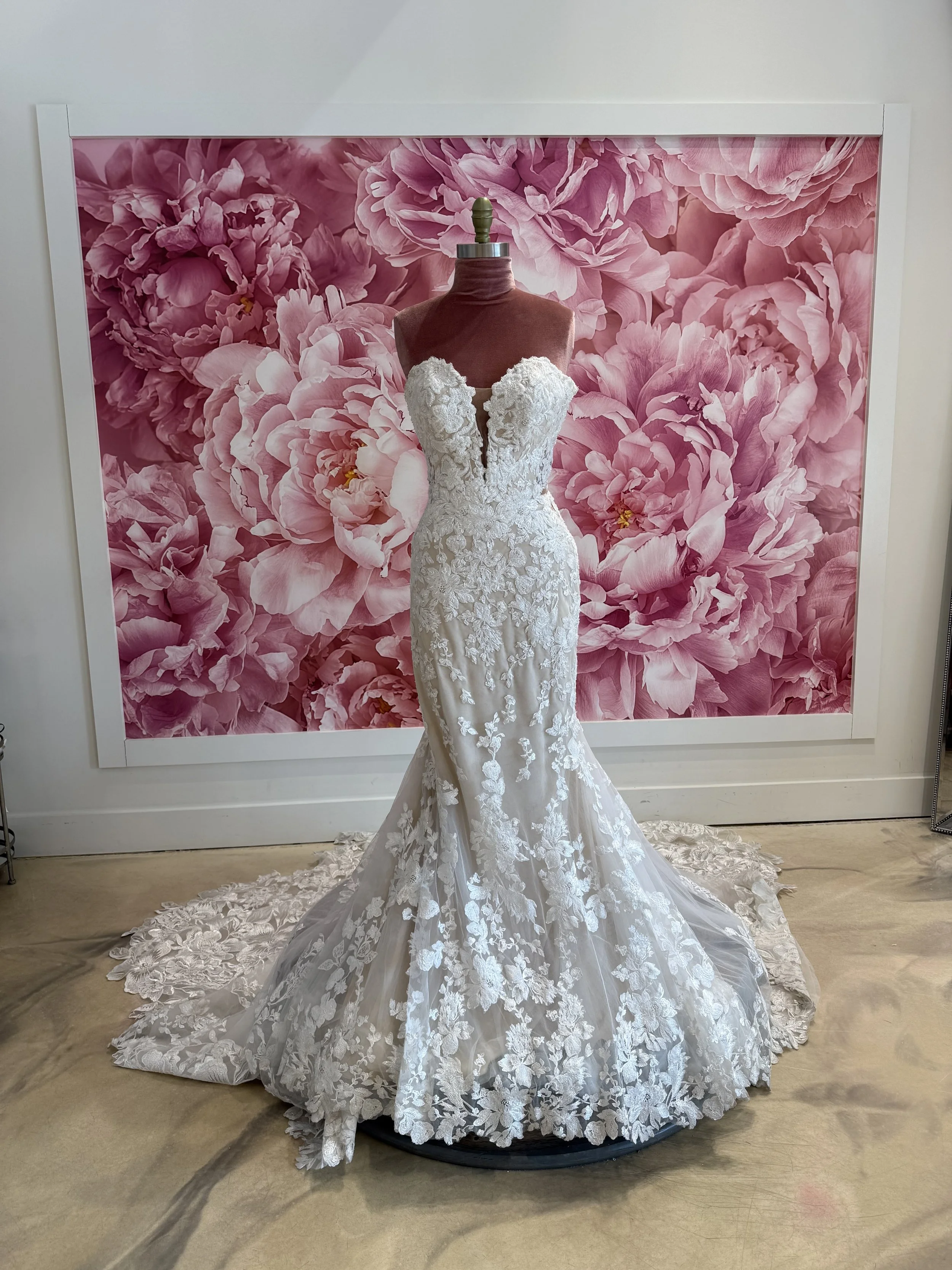 Photo Mar 13 2026, 1 59 46 PM.jpg