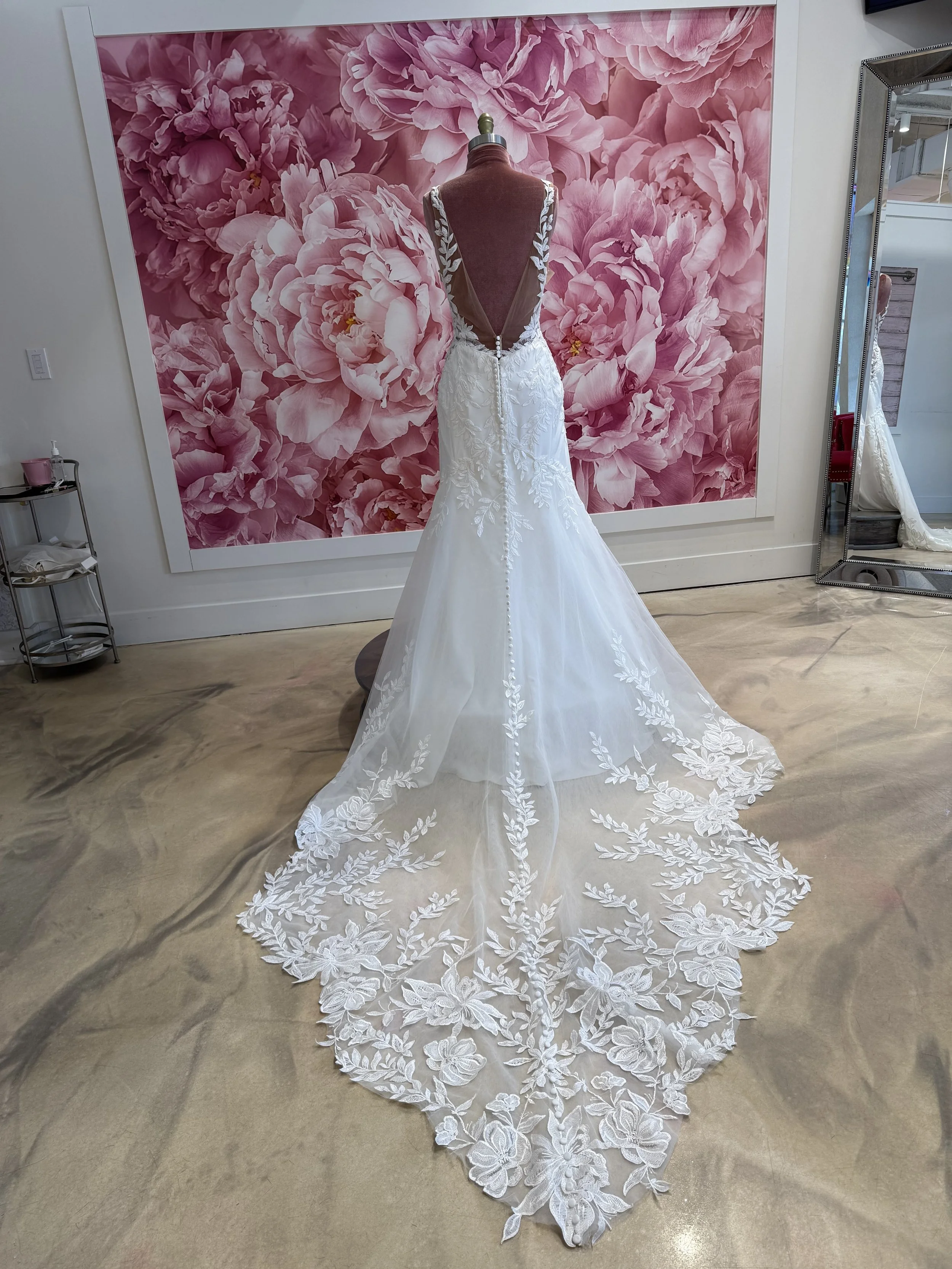 Photo Mar 13 2026, 2 40 43 PM (1).jpg