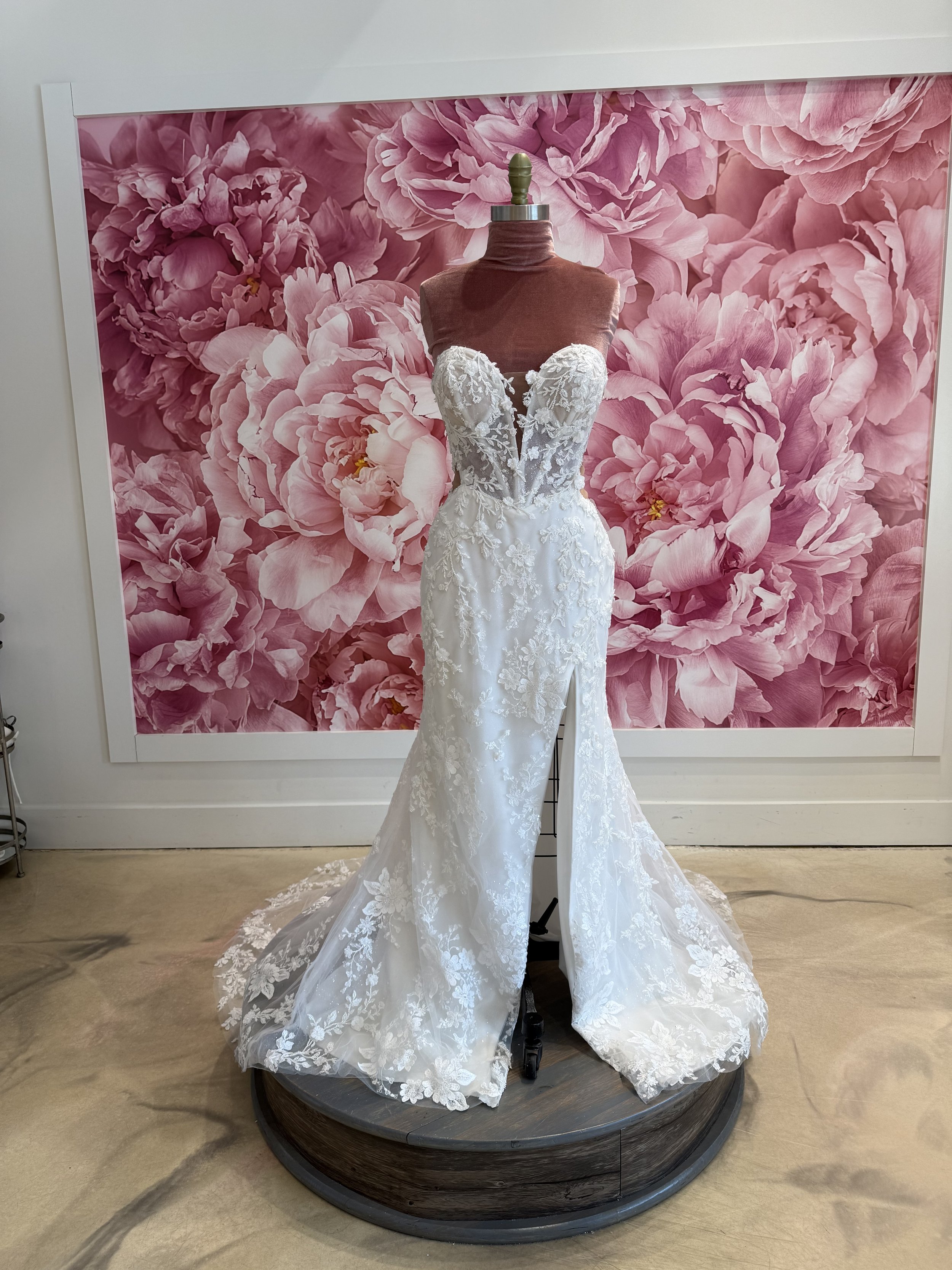 Photo Mar 13 2026, 3 00 44 PM.jpg