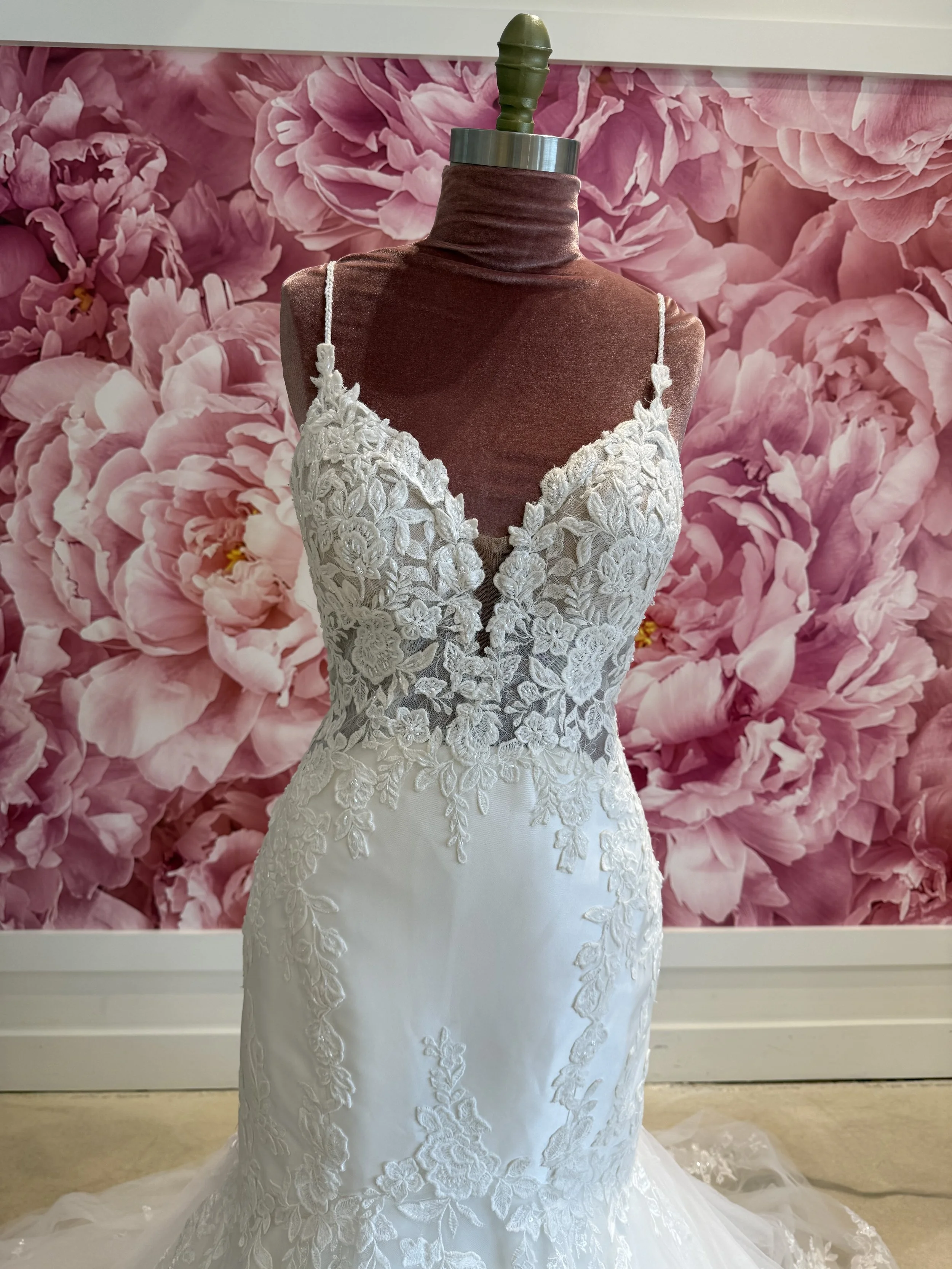 Photo Mar 13 2026, 2 56 54 PM.jpg