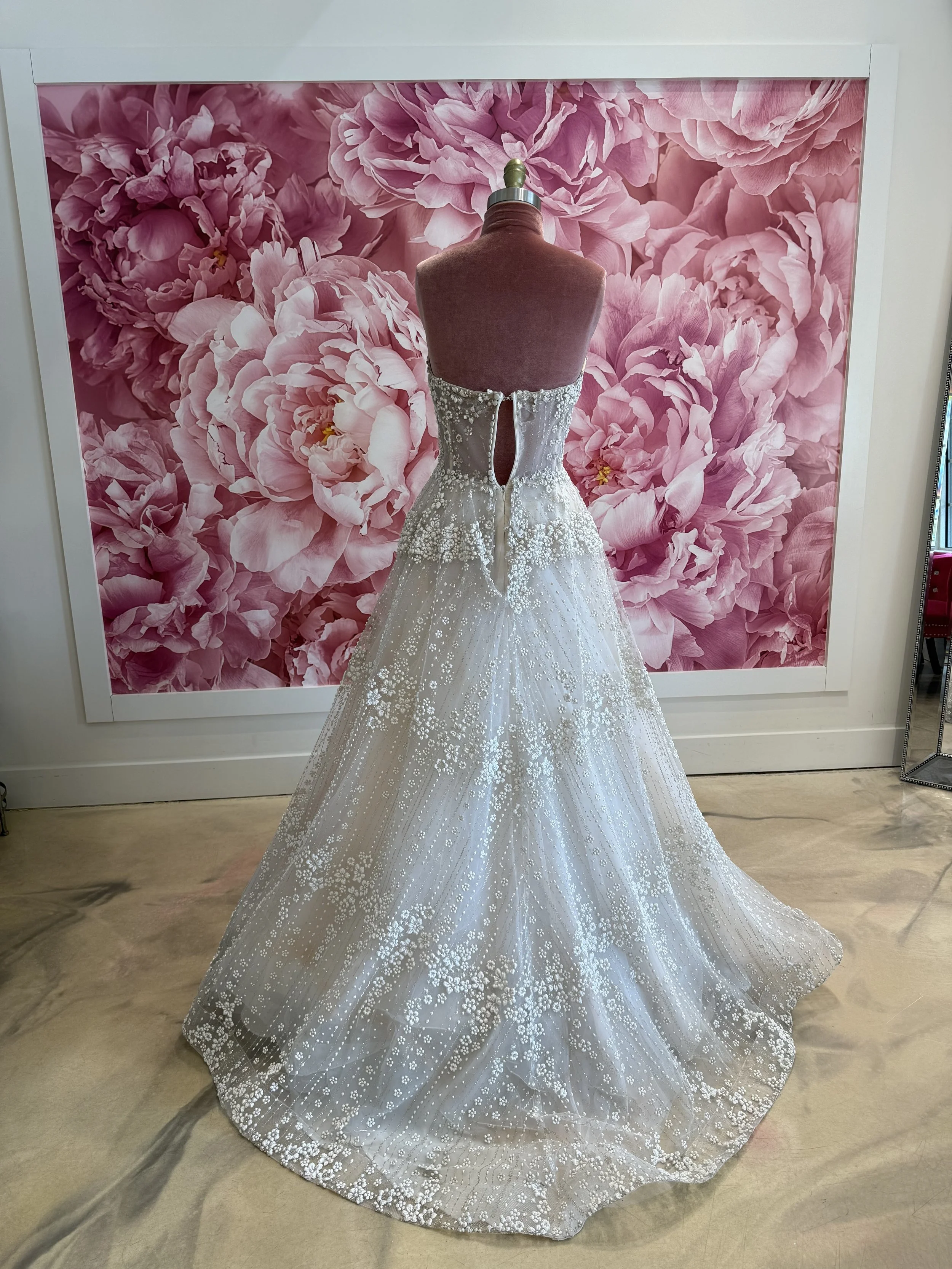 Photo Mar 13 2026, 12 35 13 PM (1).jpg