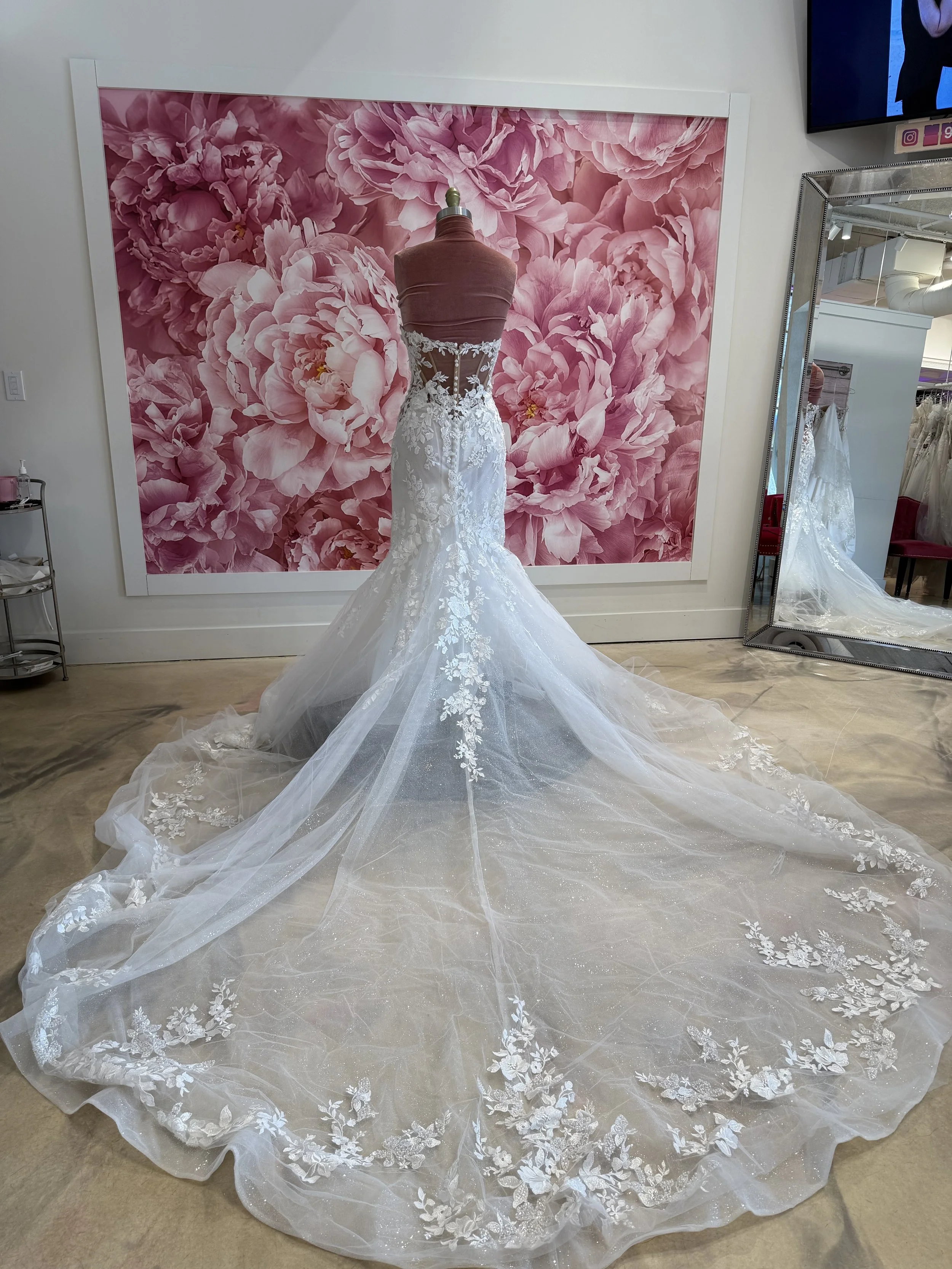 Photo Mar 13 2026, 3 44 19 PM.jpg