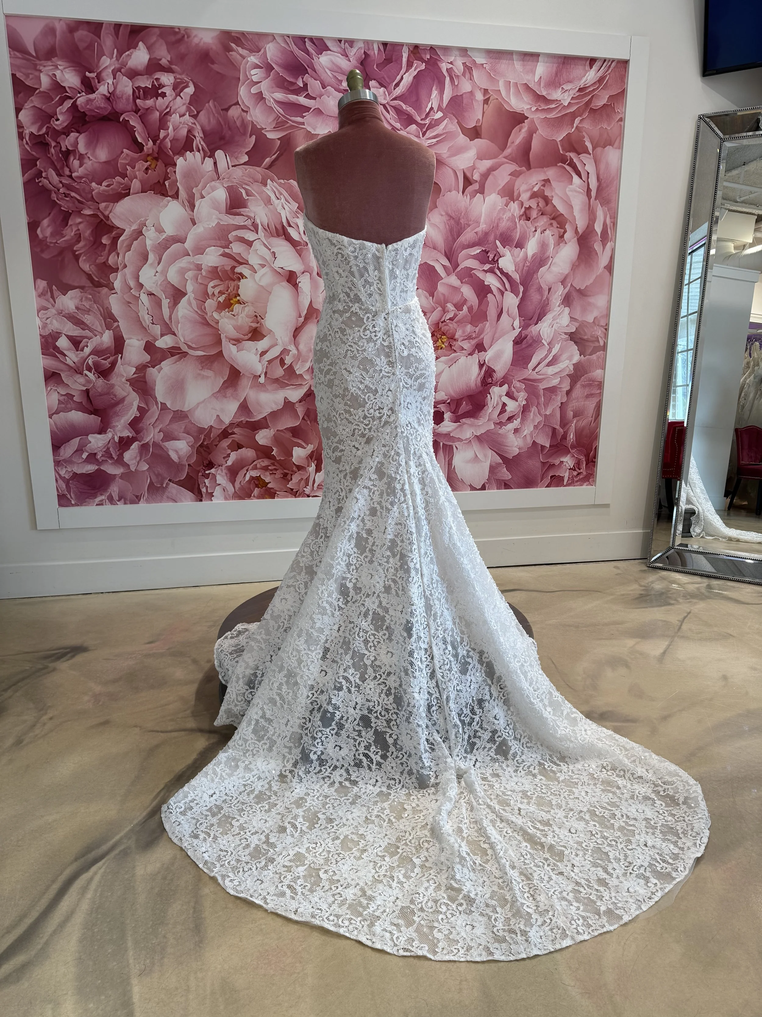 Photo Mar 11 2026, 4 37 31 PM.jpg