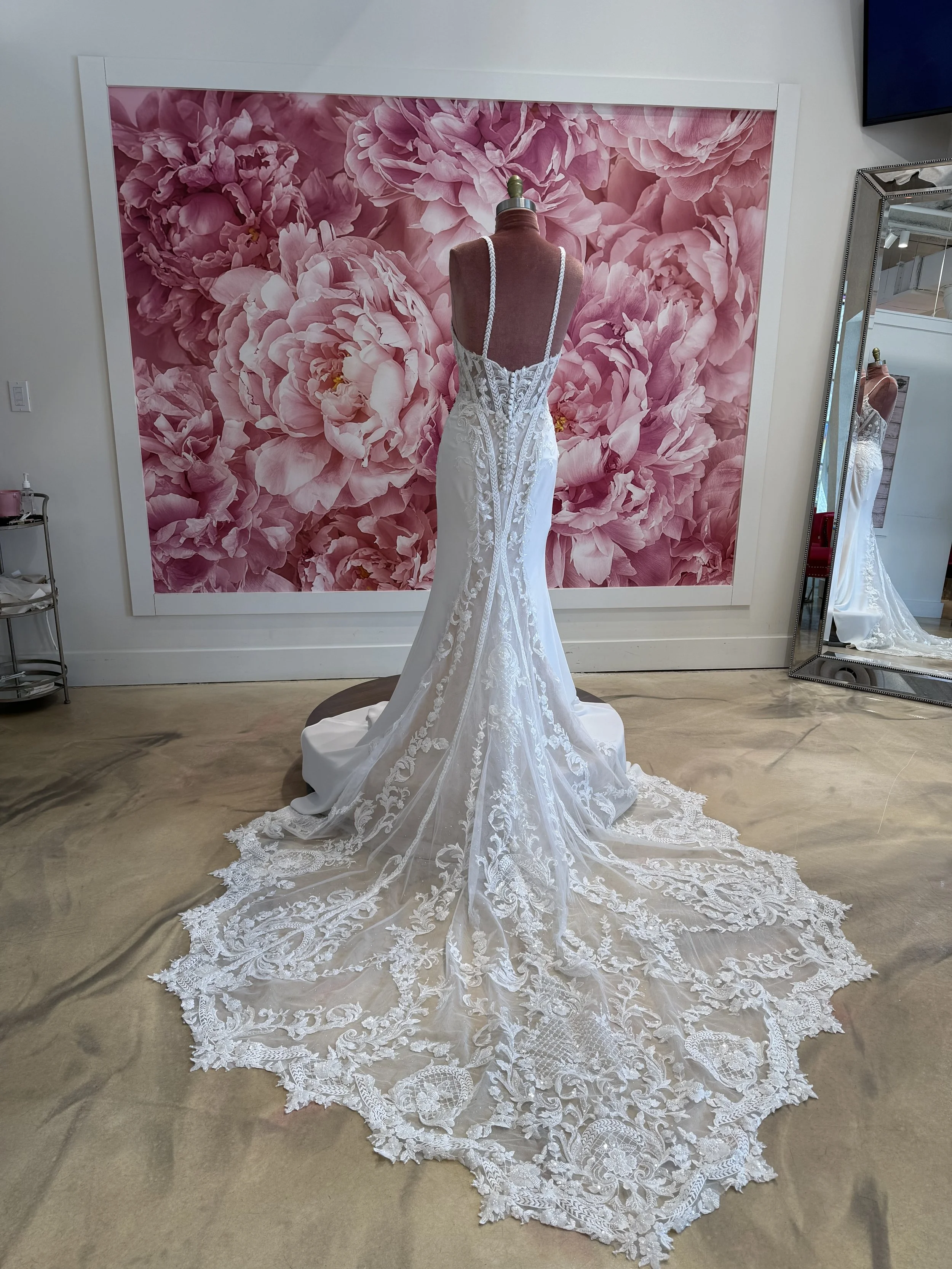 Photo Mar 13 2026, 2 51 41 PM.jpg