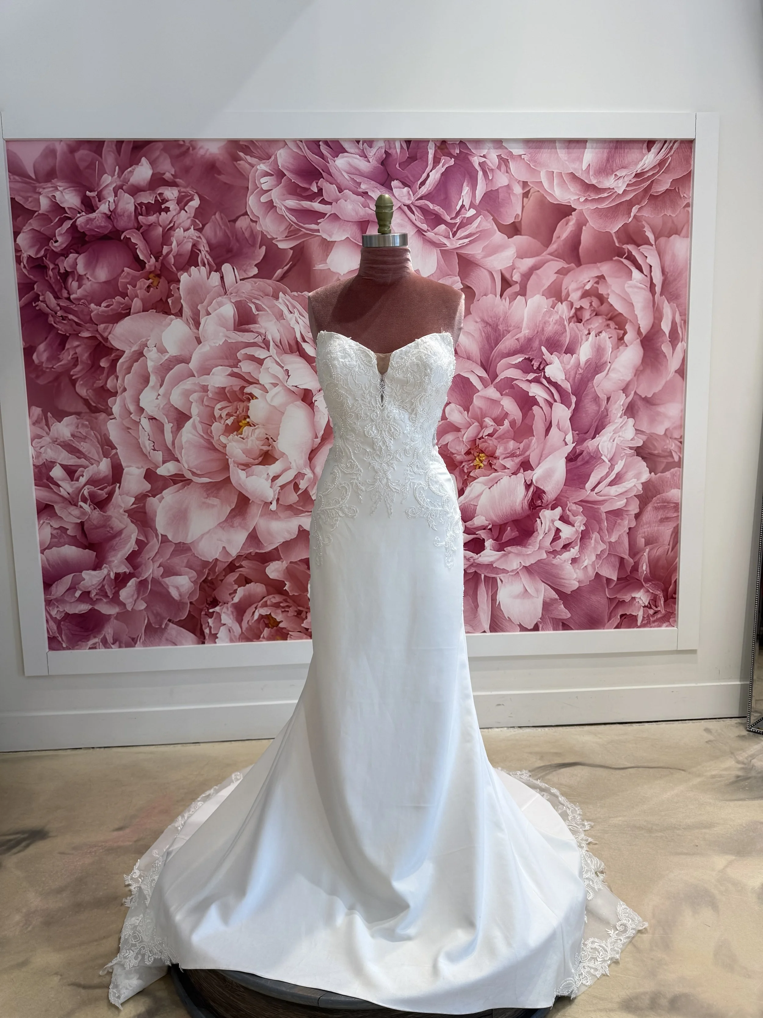 Photo Mar 13 2026, 2 44 31 PM.jpg