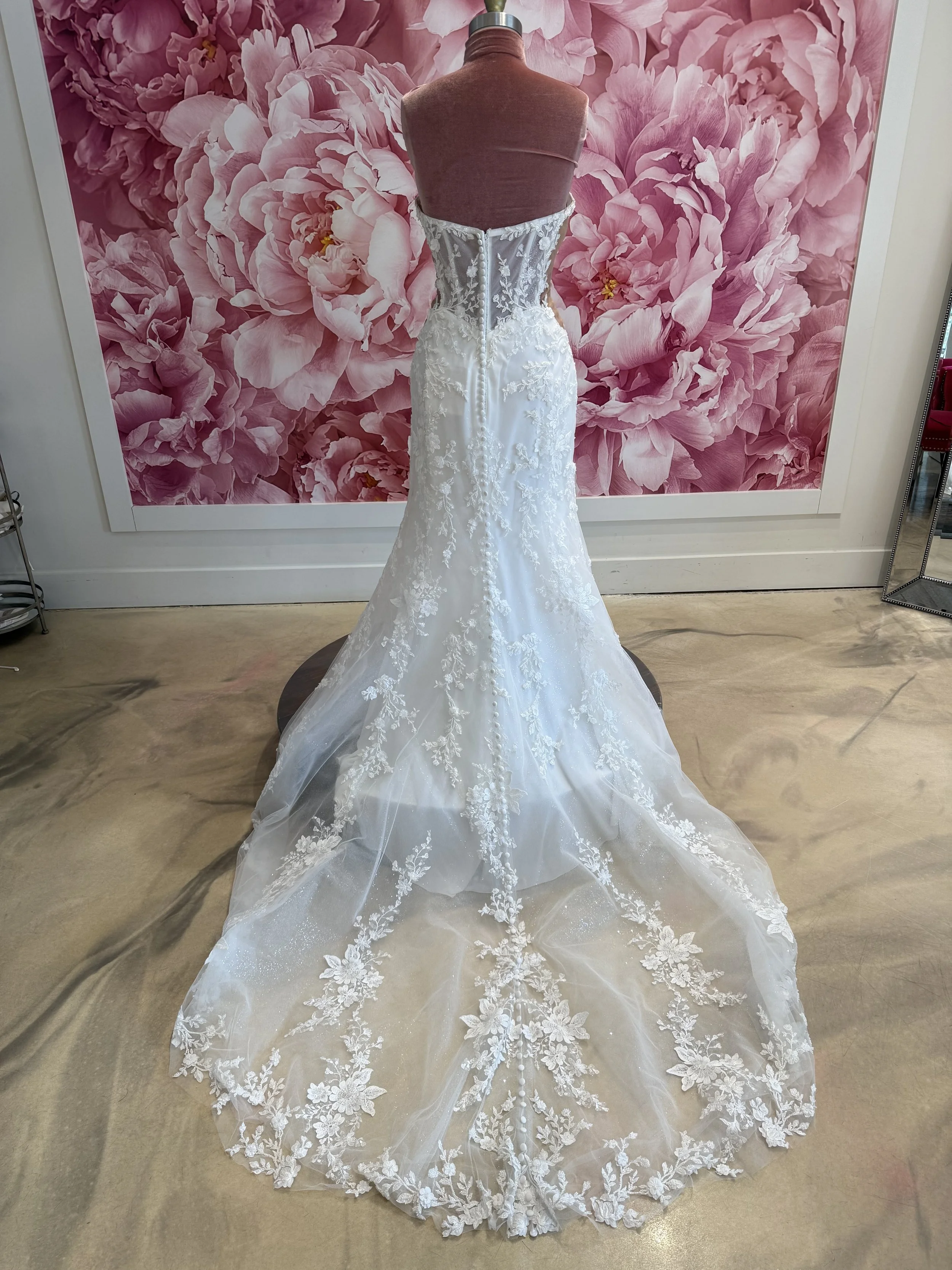 Photo Mar 13 2026, 3 01 42 PM.jpg