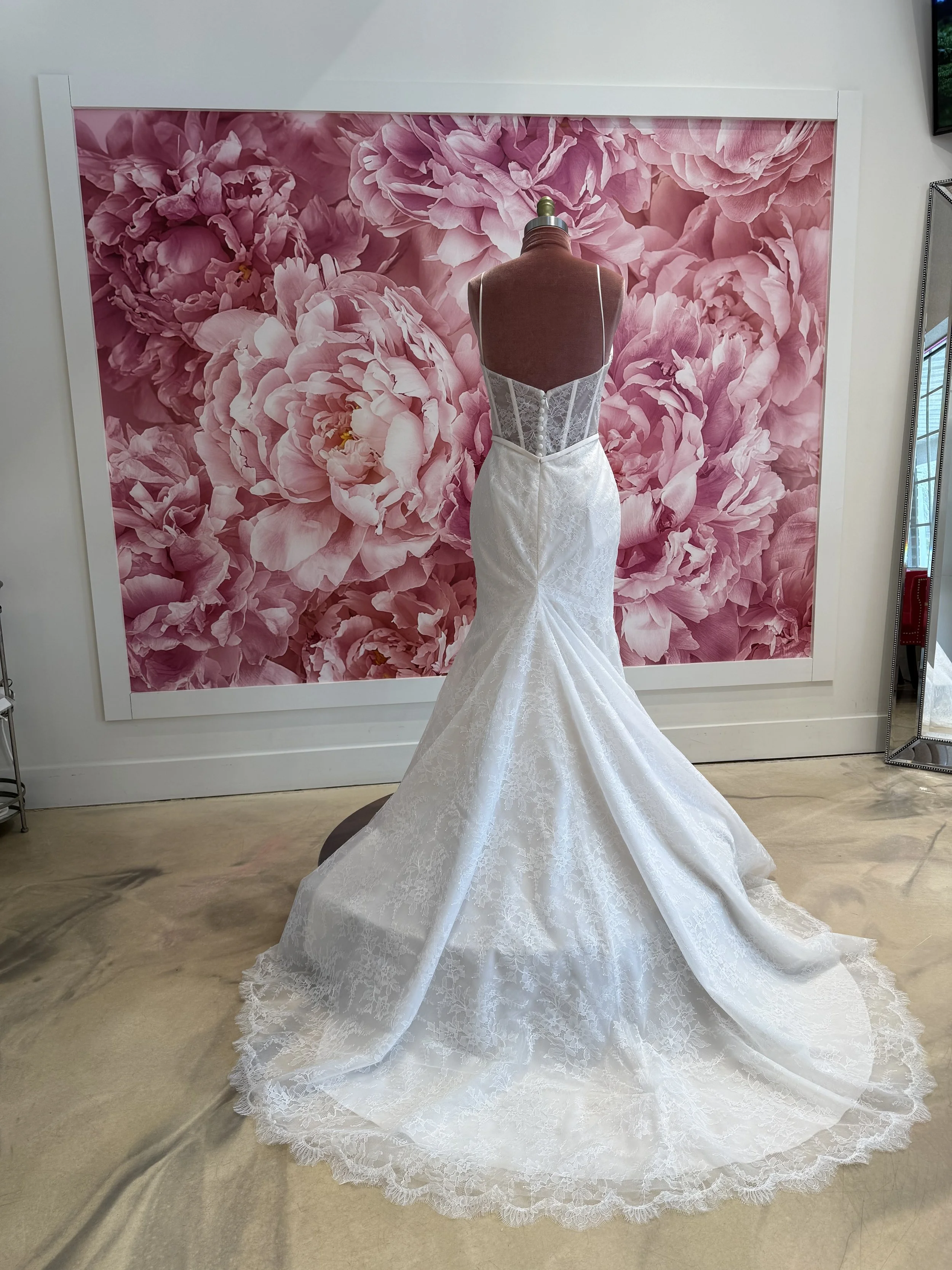 Photo Mar 13 2026, 2 14 00 PM.jpg