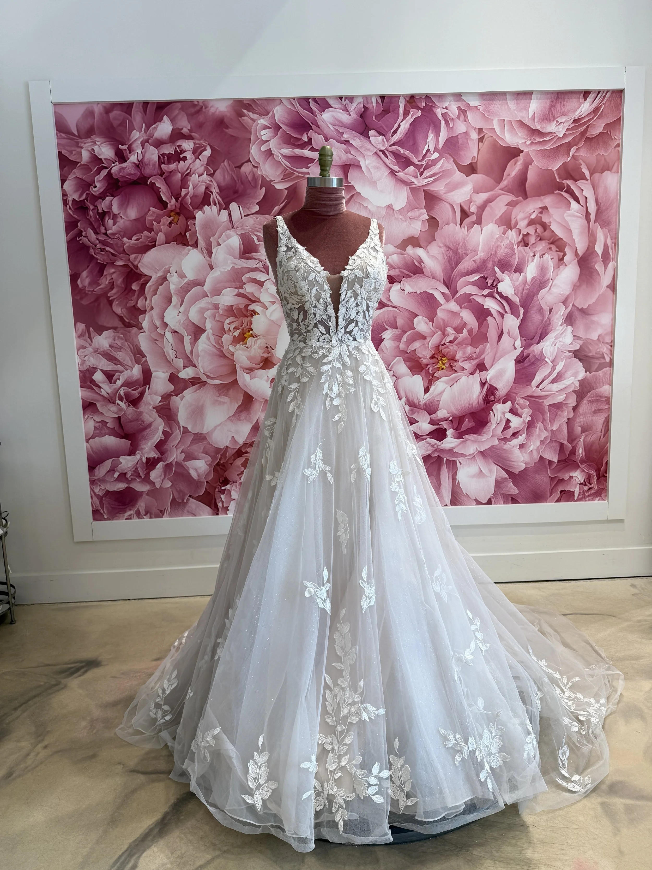 Photo Mar 13 2026, 1 47 25 PM.jpg