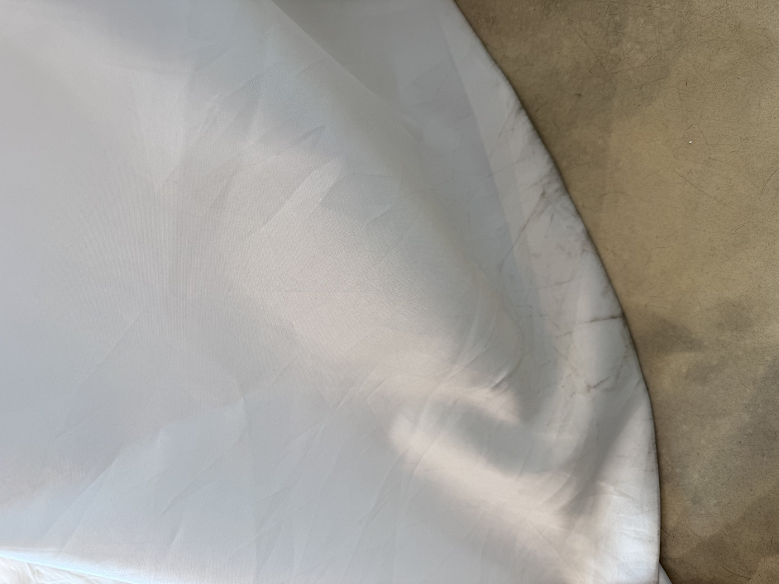 Photo Mar 11 2026, 4 23 17 PM.jpg