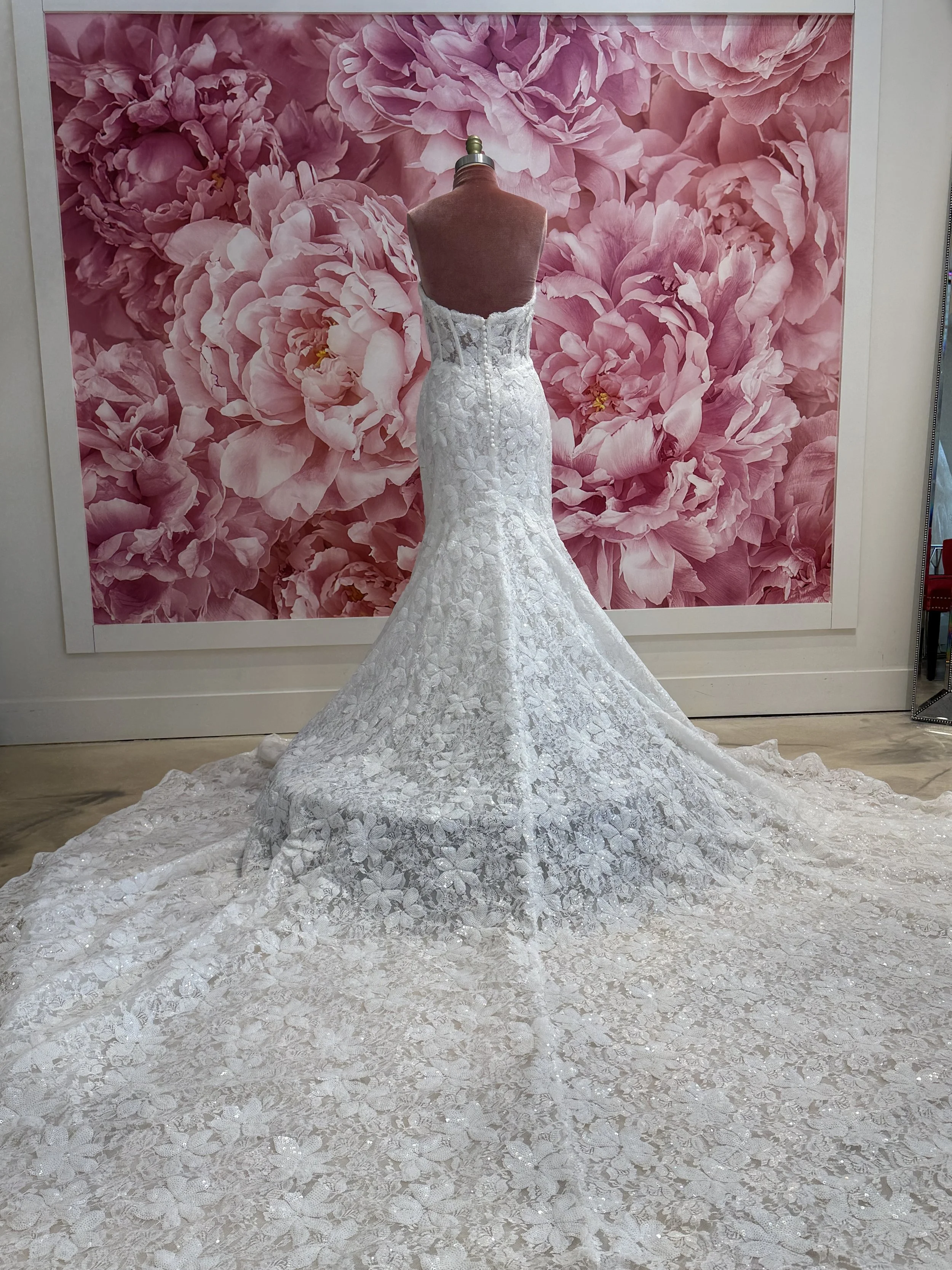 Photo Mar 13 2026, 4 16 14 PM.jpg