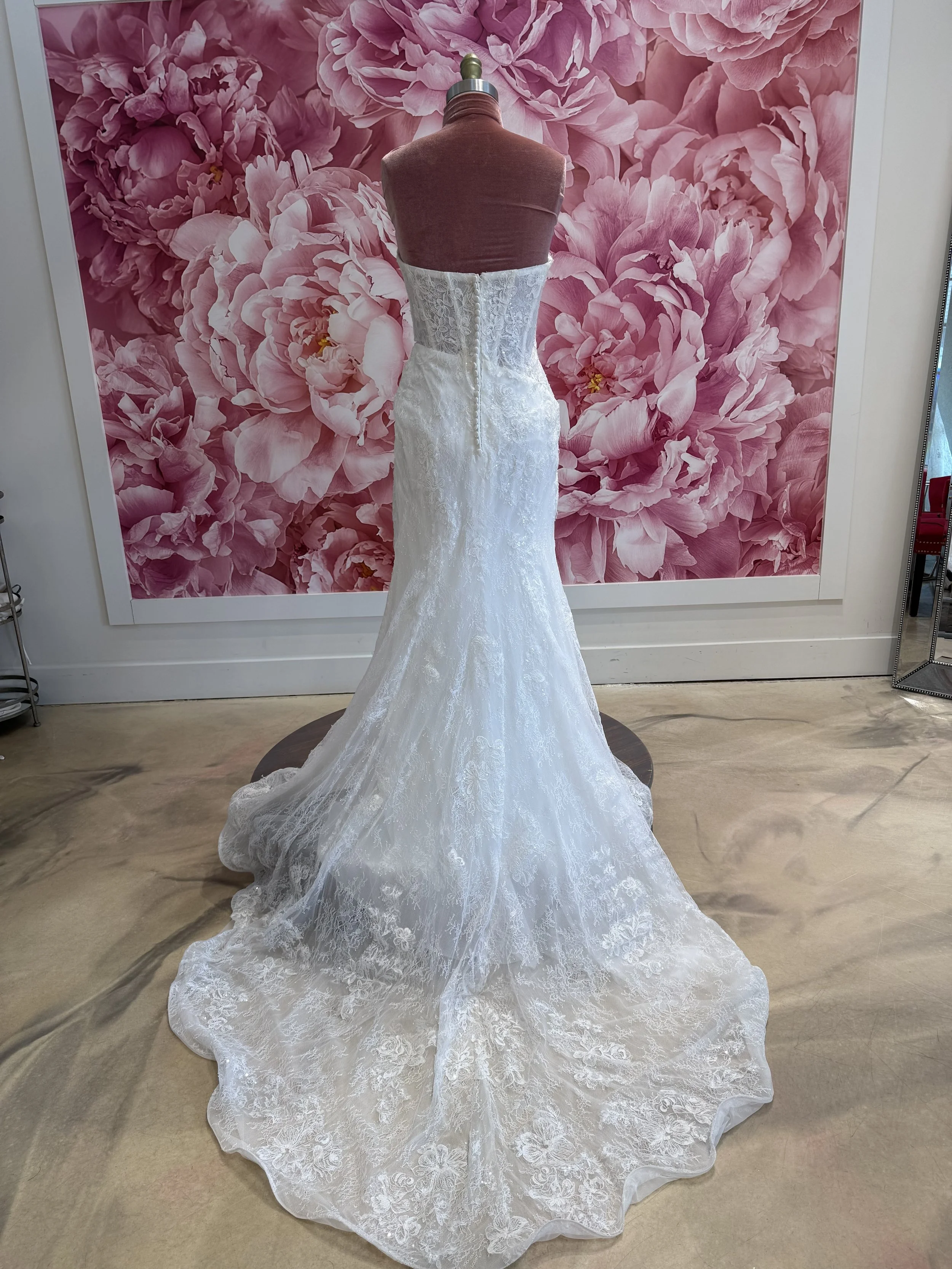 Photo Mar 13 2026, 3 11 09 PM.jpg