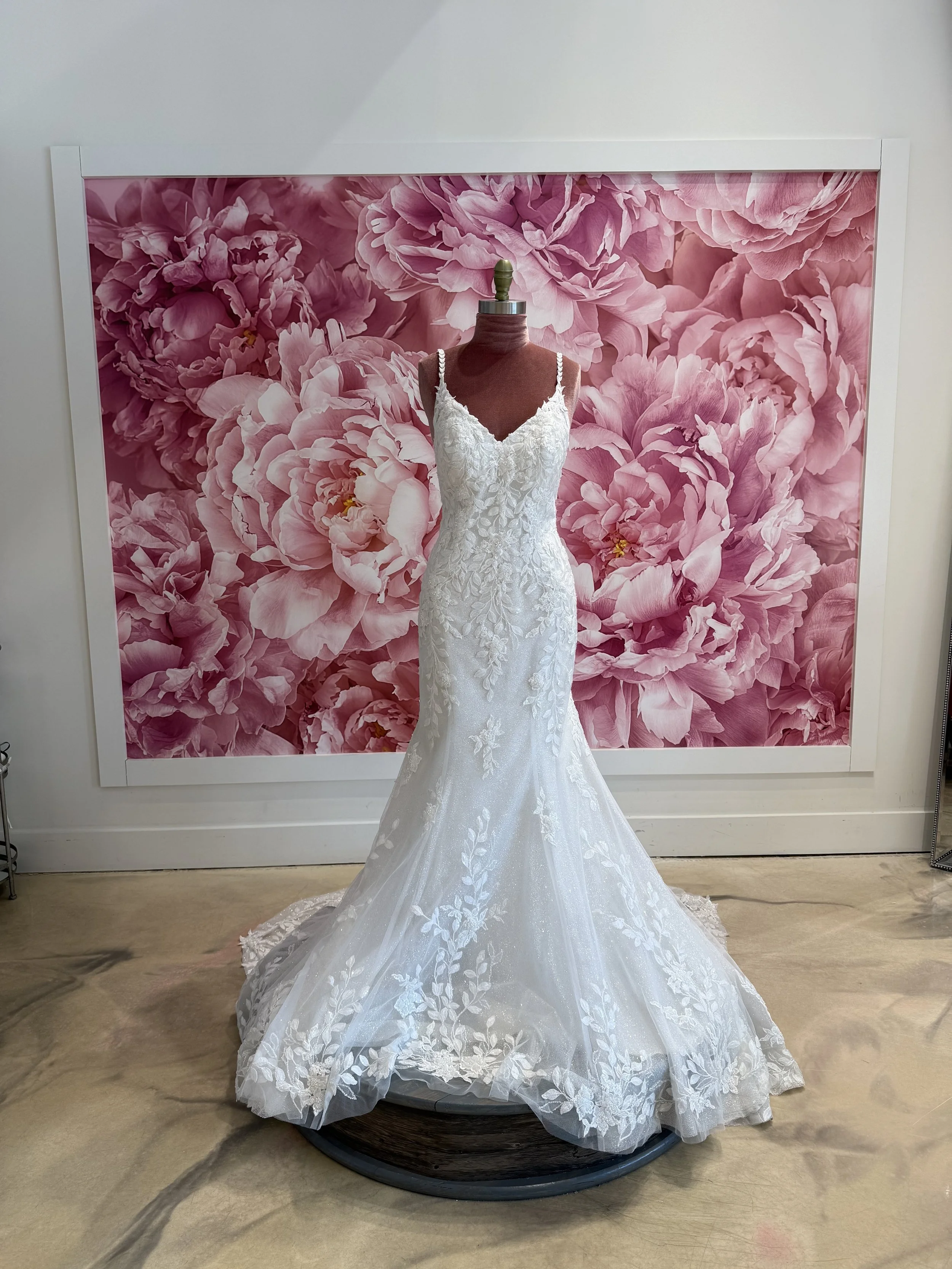 Photo Mar 13 2026, 2 06 31 PM.jpg