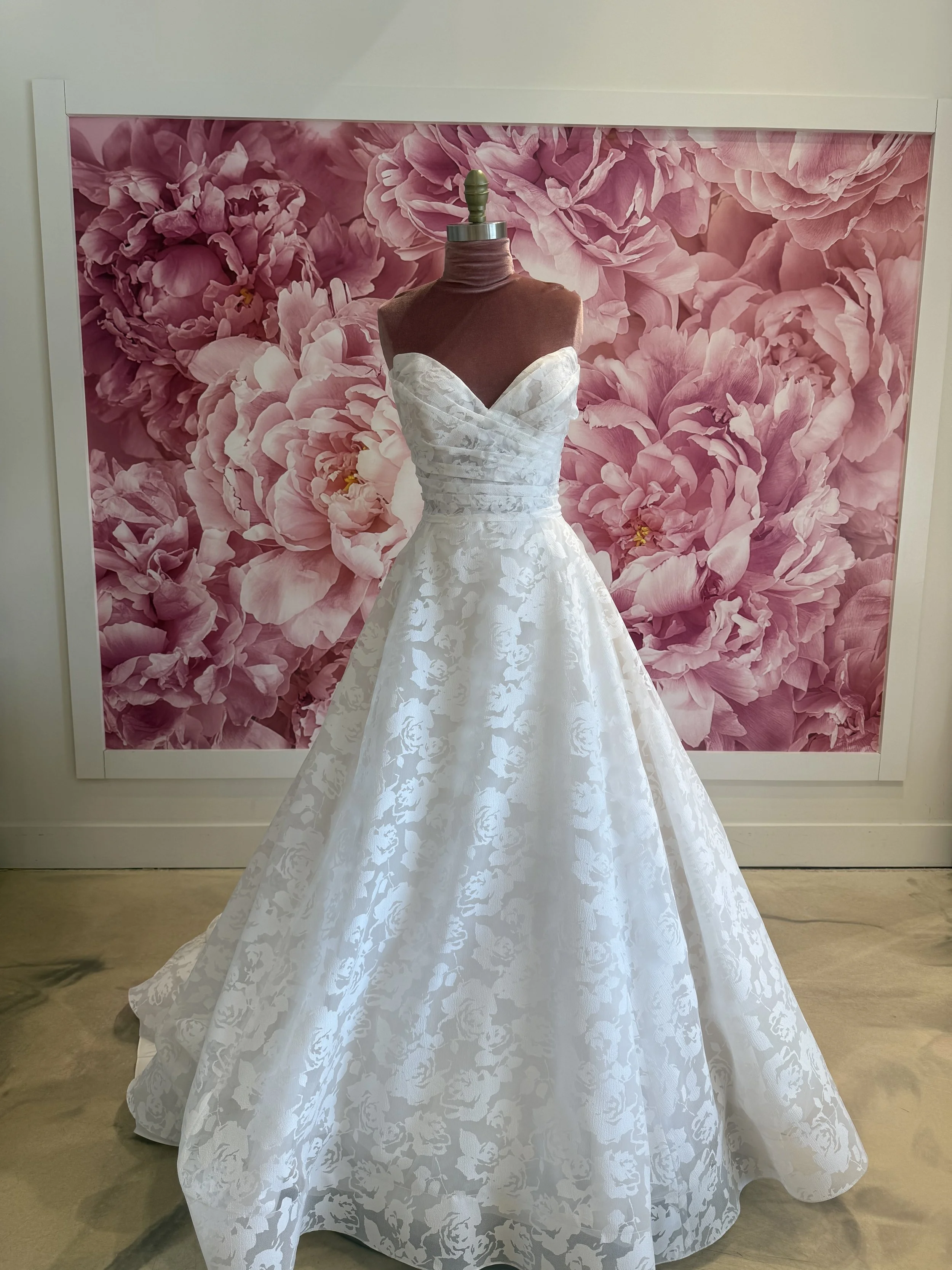 Photo Mar 13 2026, 11 55 45 AM (1).jpg