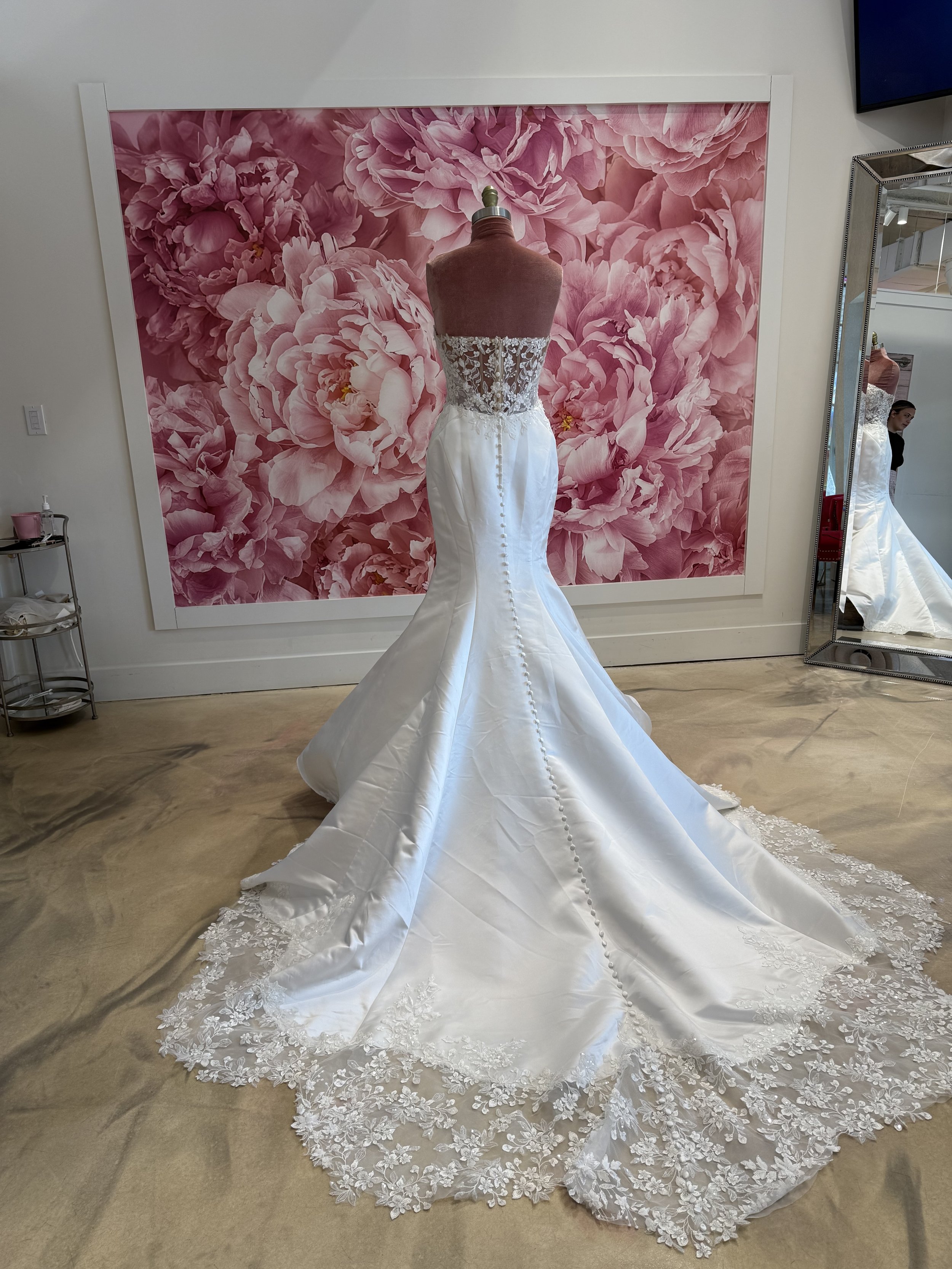 Photo Mar 13 2026, 3 39 37 PM.jpg