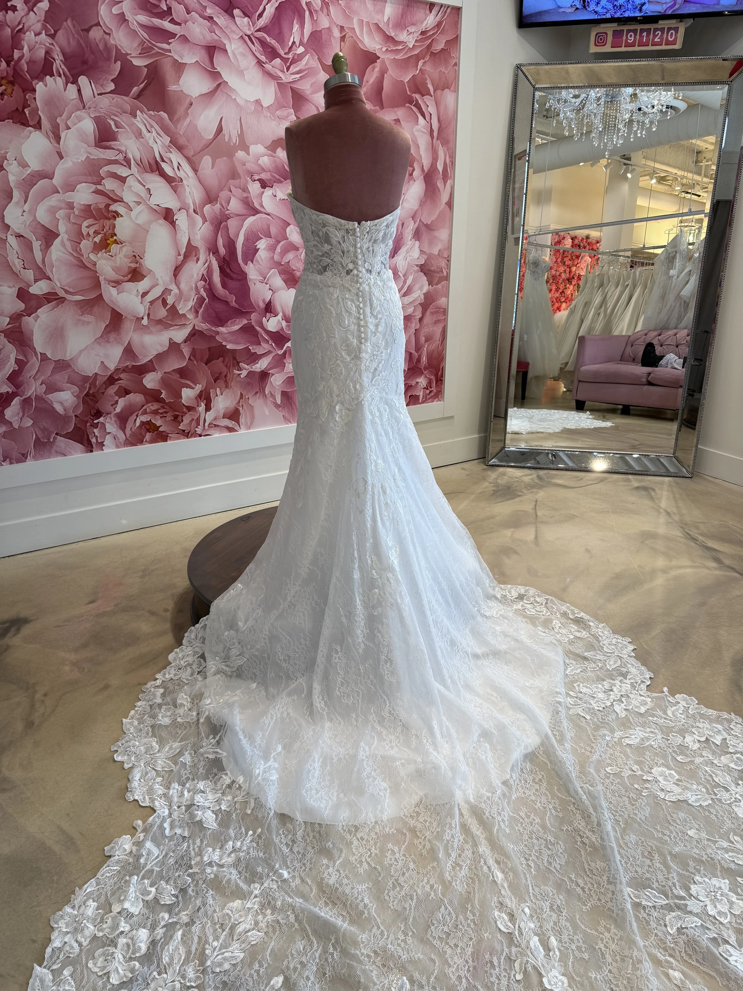 Photo Mar 13 2026, 2 29 15 PM.jpg