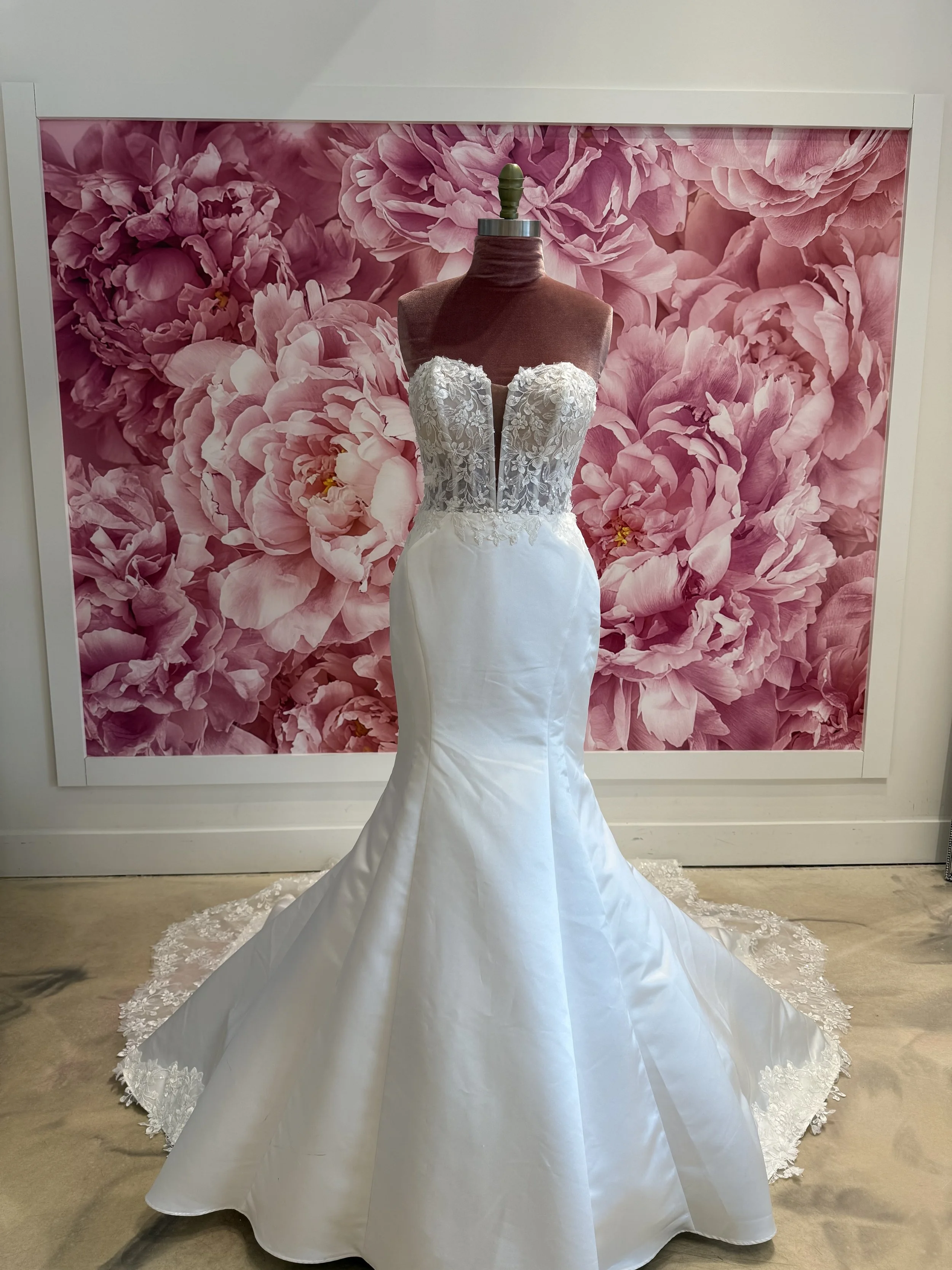 Photo Mar 13 2026, 3 38 41 PM.jpg