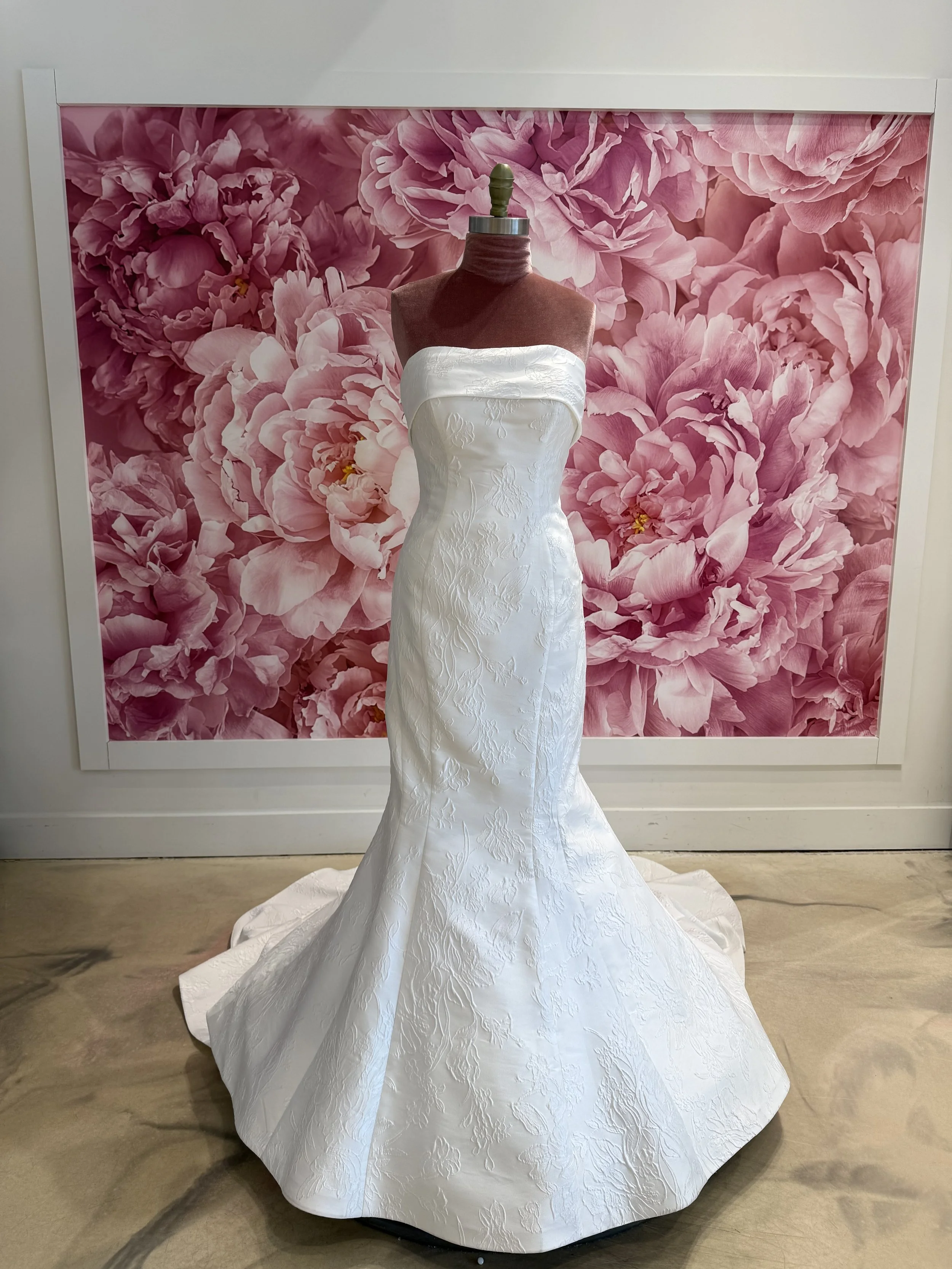 Photo Mar 13 2026, 3 59 28 PM.jpg