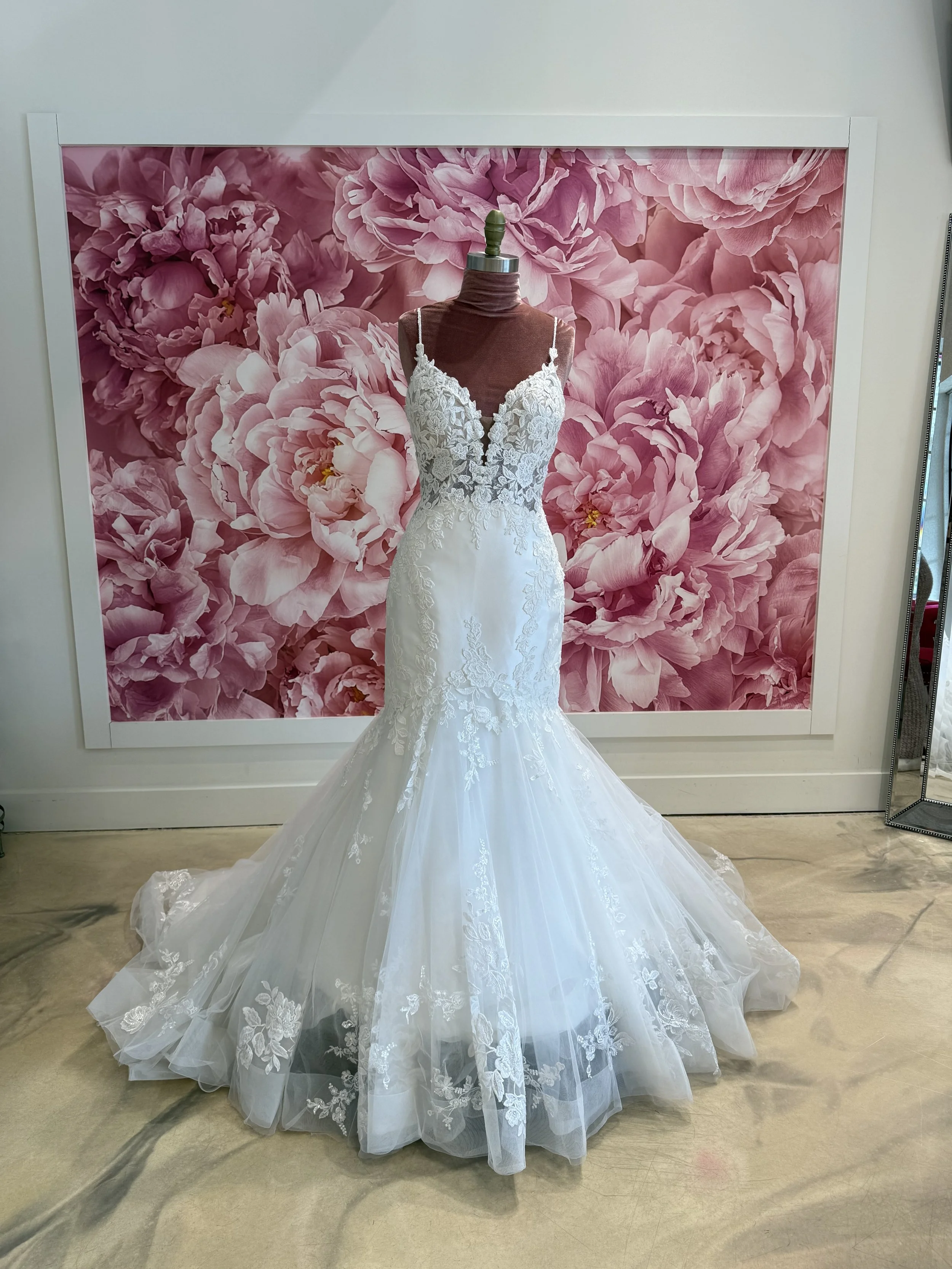 Photo Mar 13 2026, 2 56 48 PM.jpg