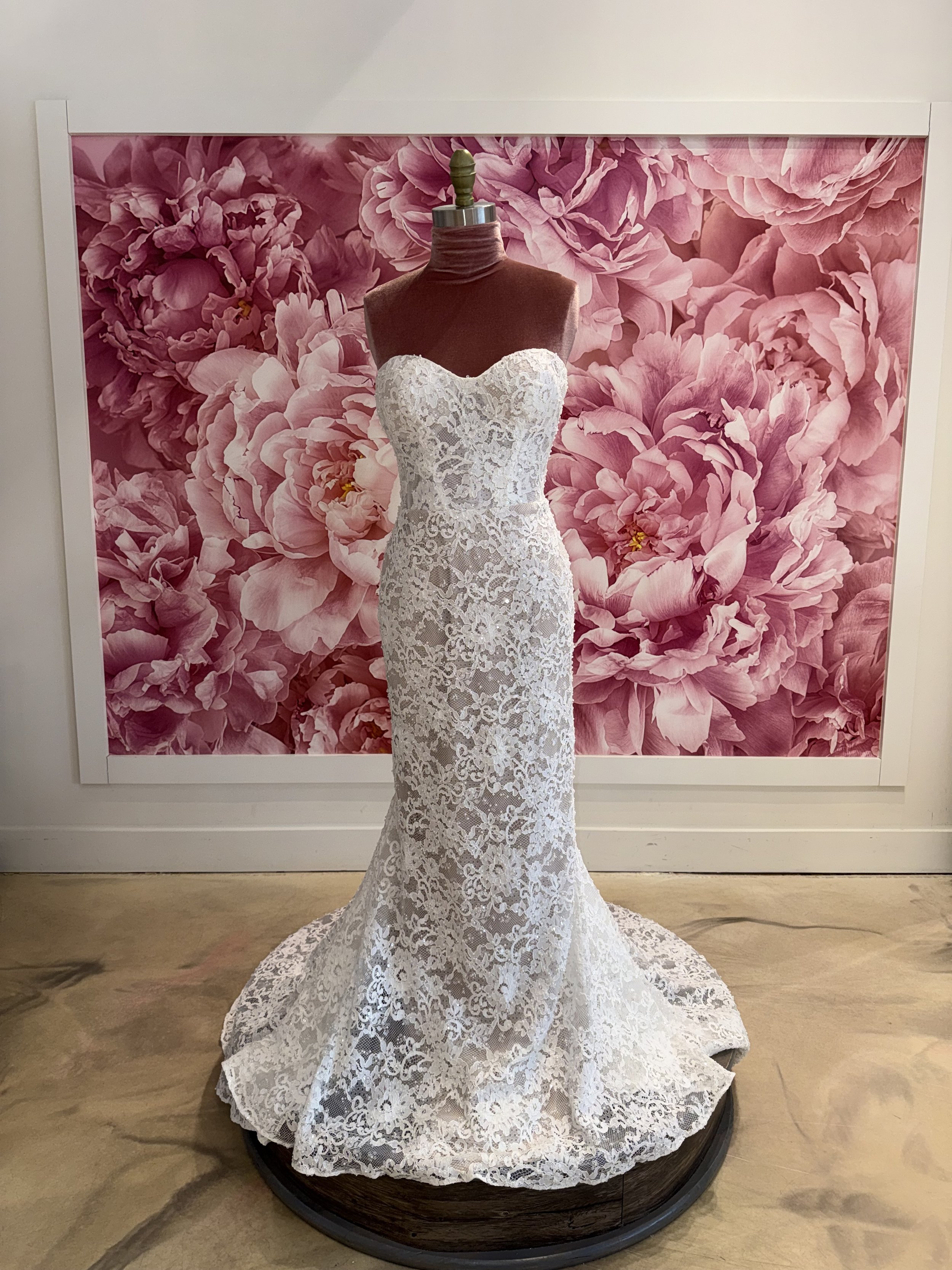 Photo Mar 11 2026, 4 34 25 PM.jpg