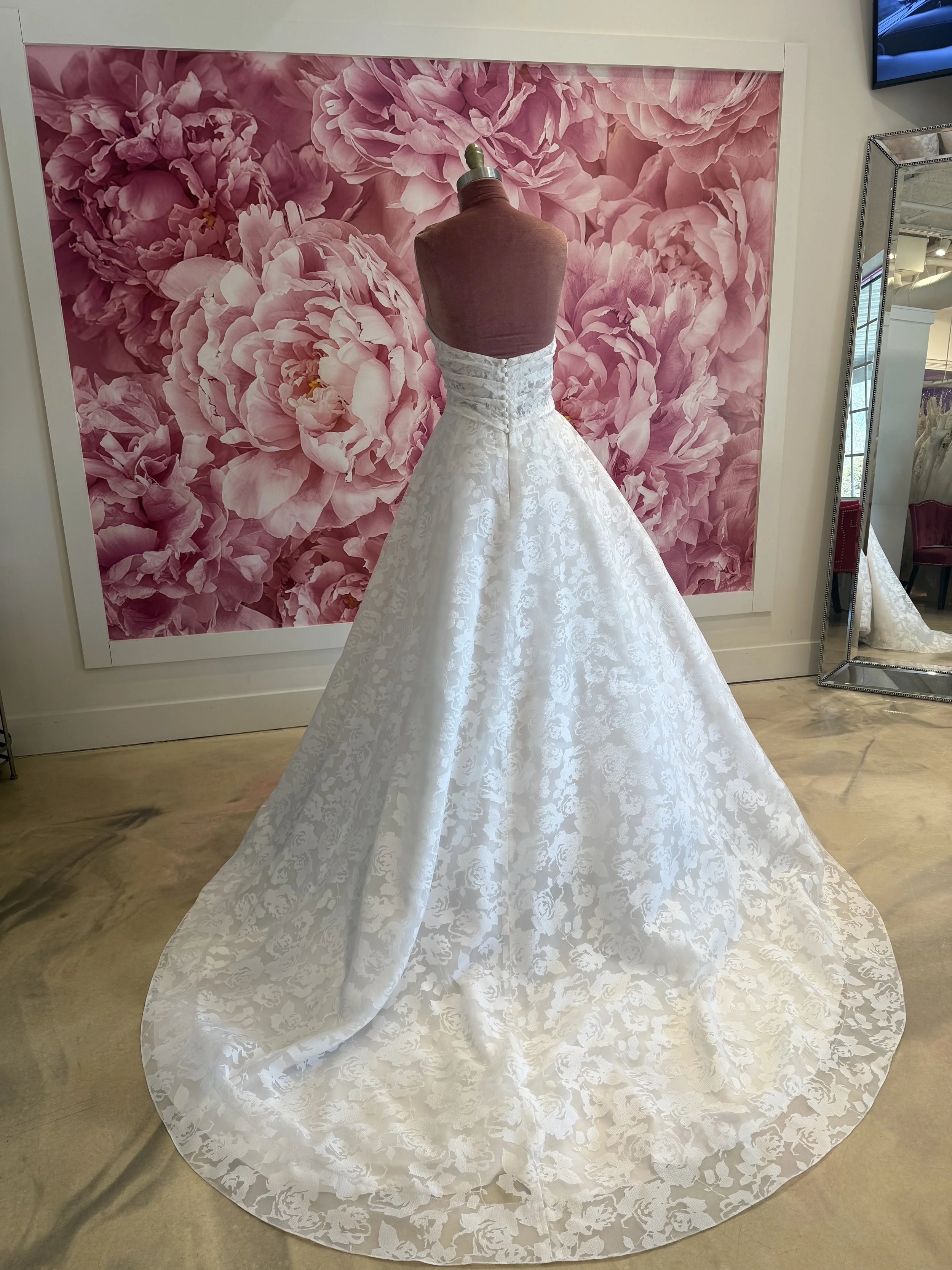 Photo Mar 13 2026, 11 57 10 AM (1).jpg