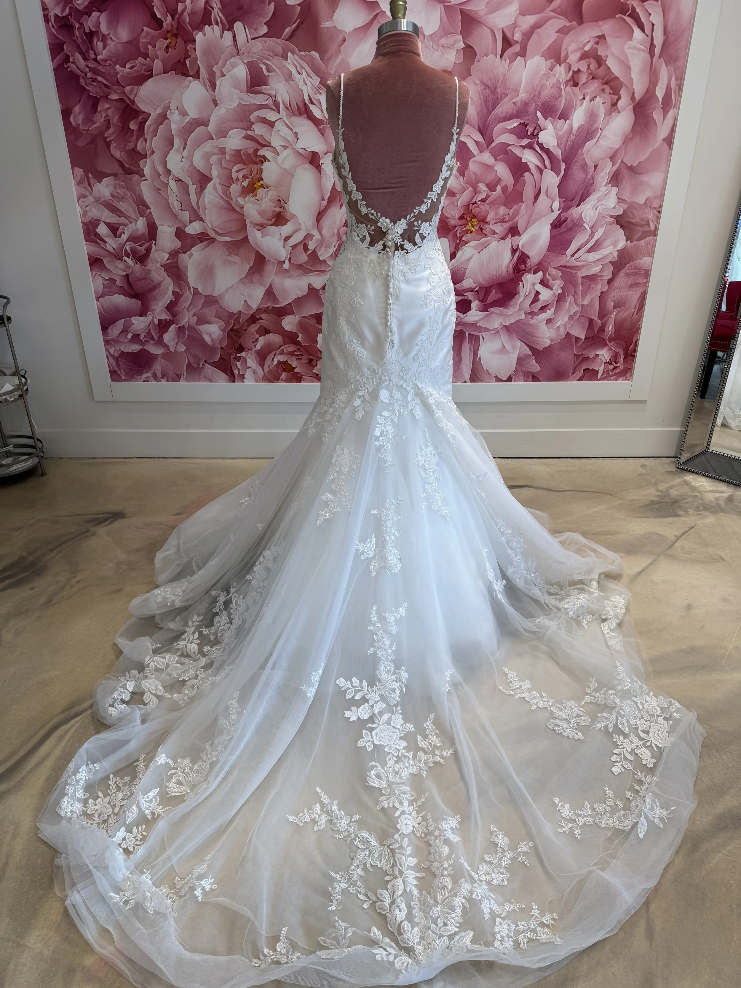 Photo Mar 13 2026, 2 58 07 PM.jpg