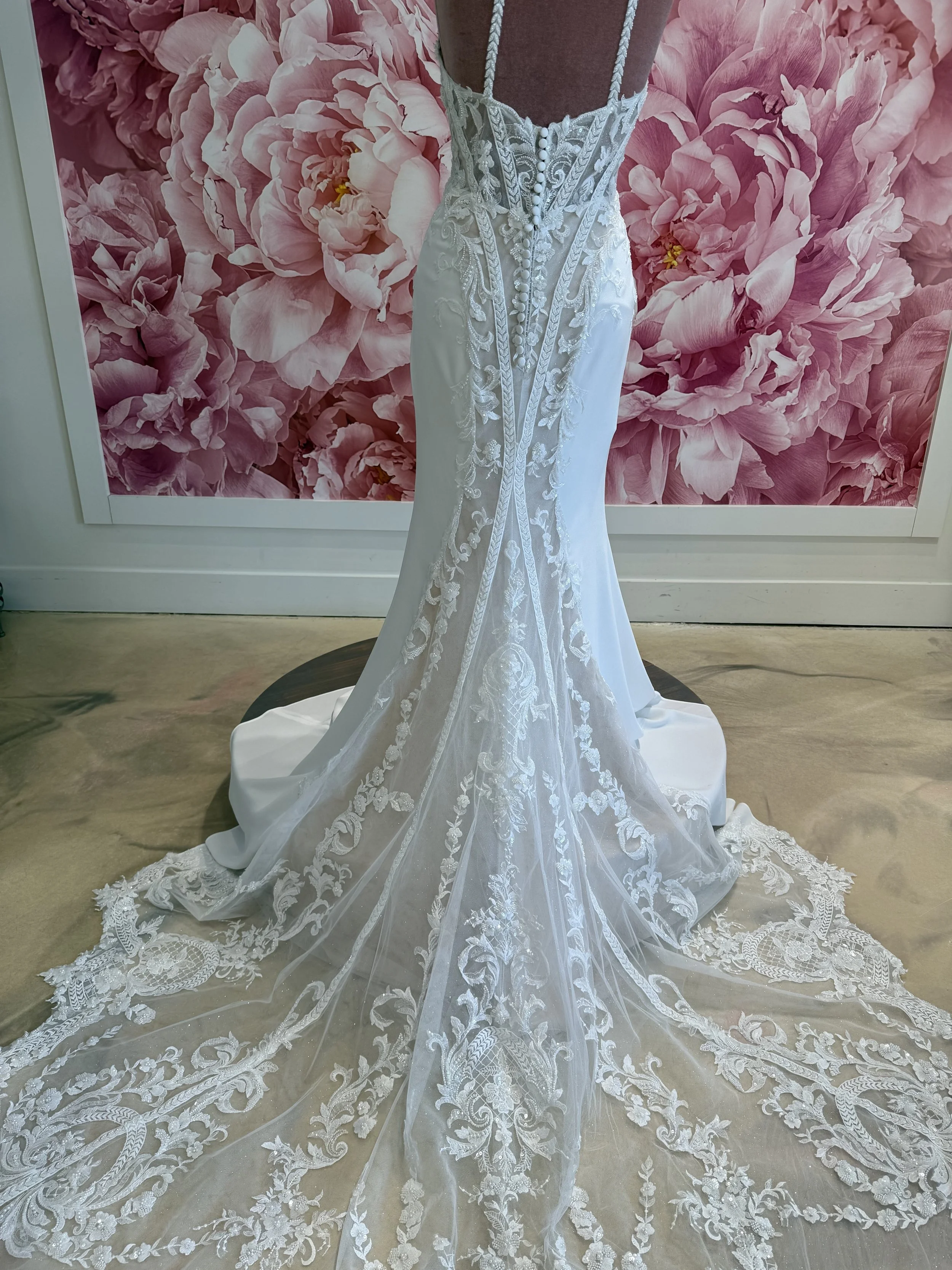 Photo Mar 13 2026, 2 51 49 PM.jpg