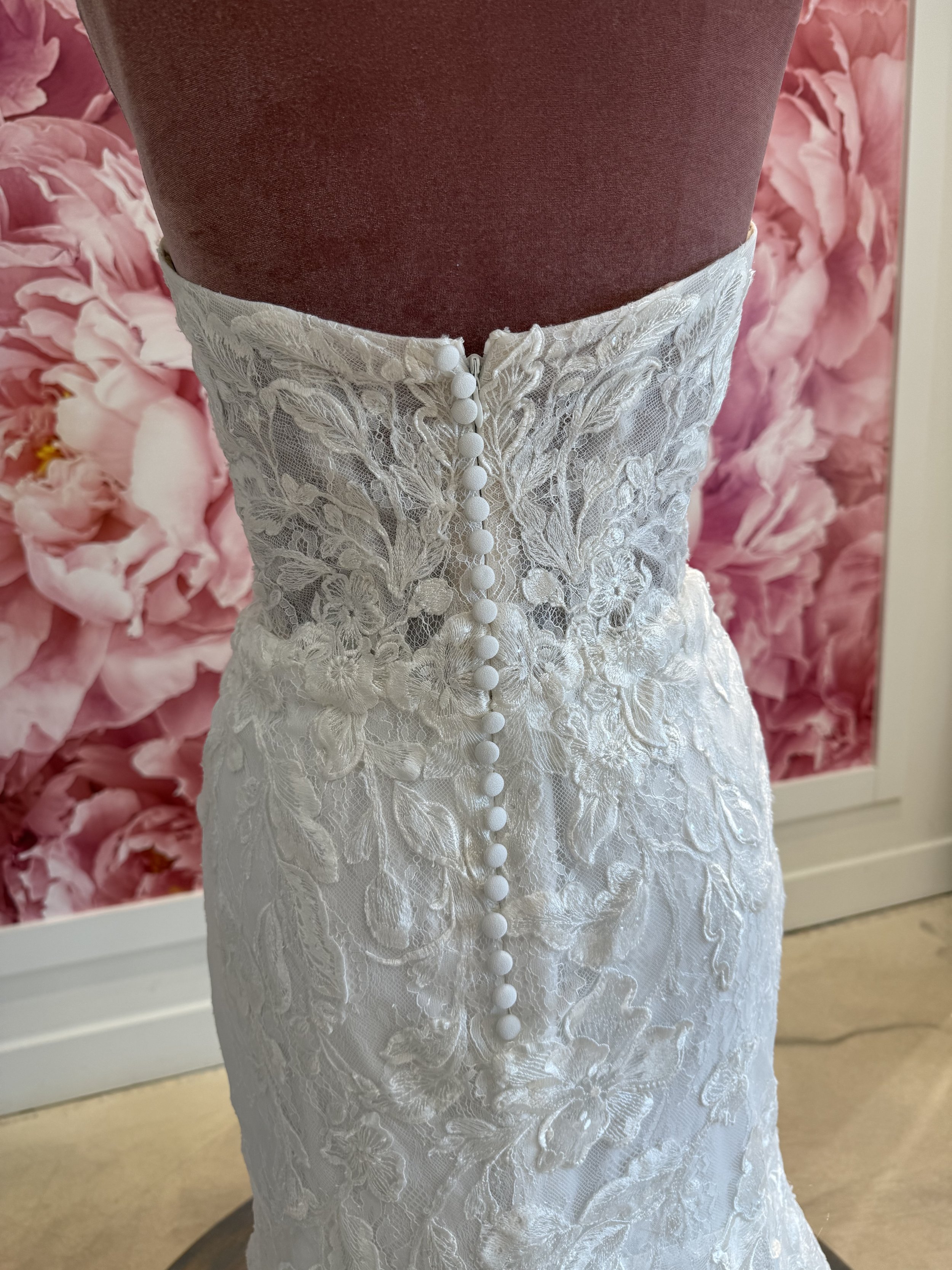 Photo Mar 13 2026, 2 29 35 PM.jpg