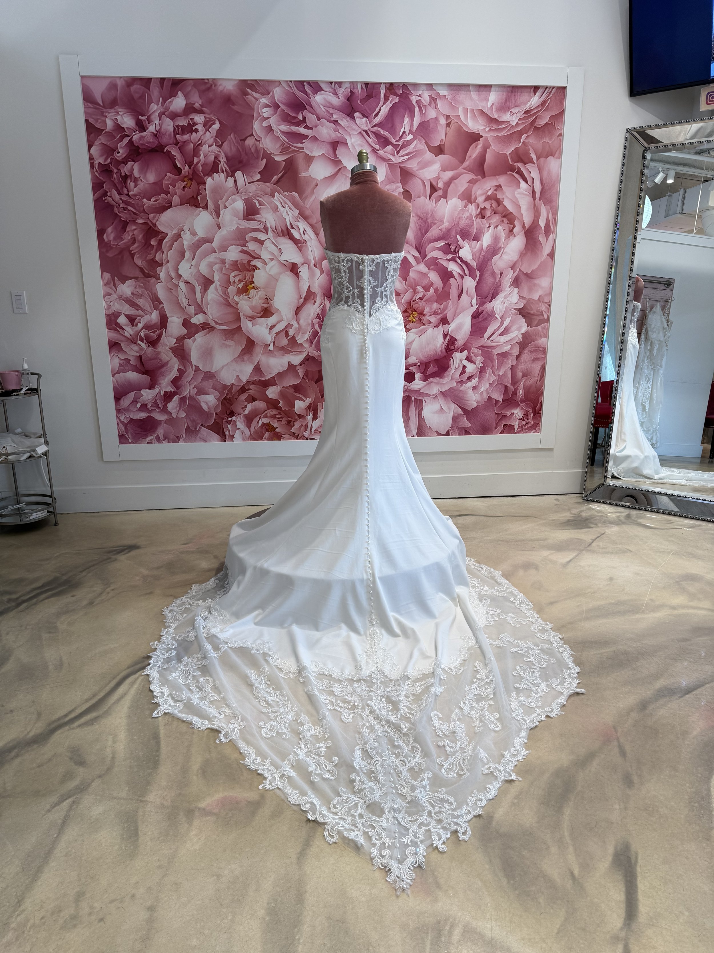 Photo Mar 13 2026, 2 46 14 PM.jpg