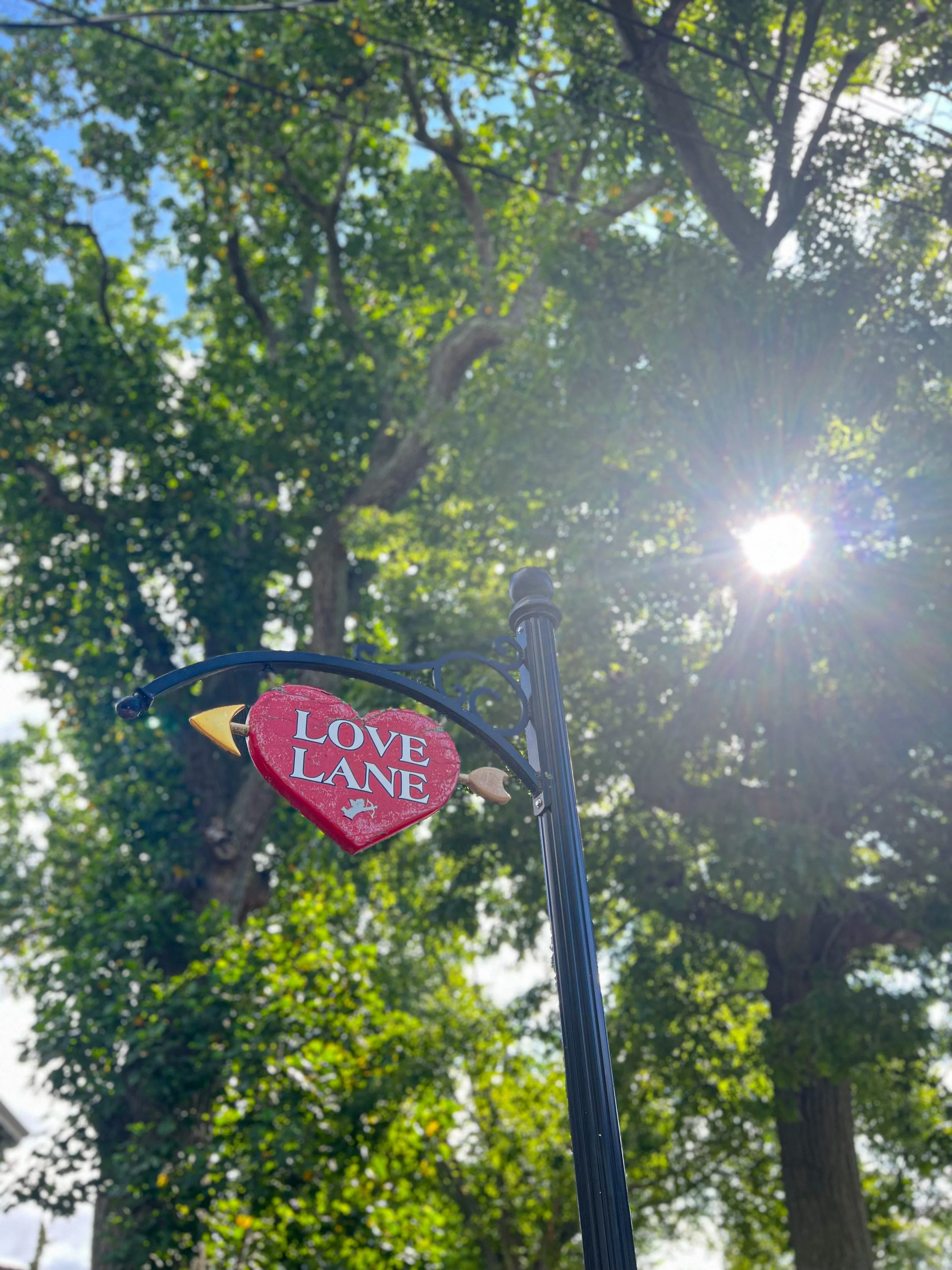 Lane Collection Shop With Love — NFBS