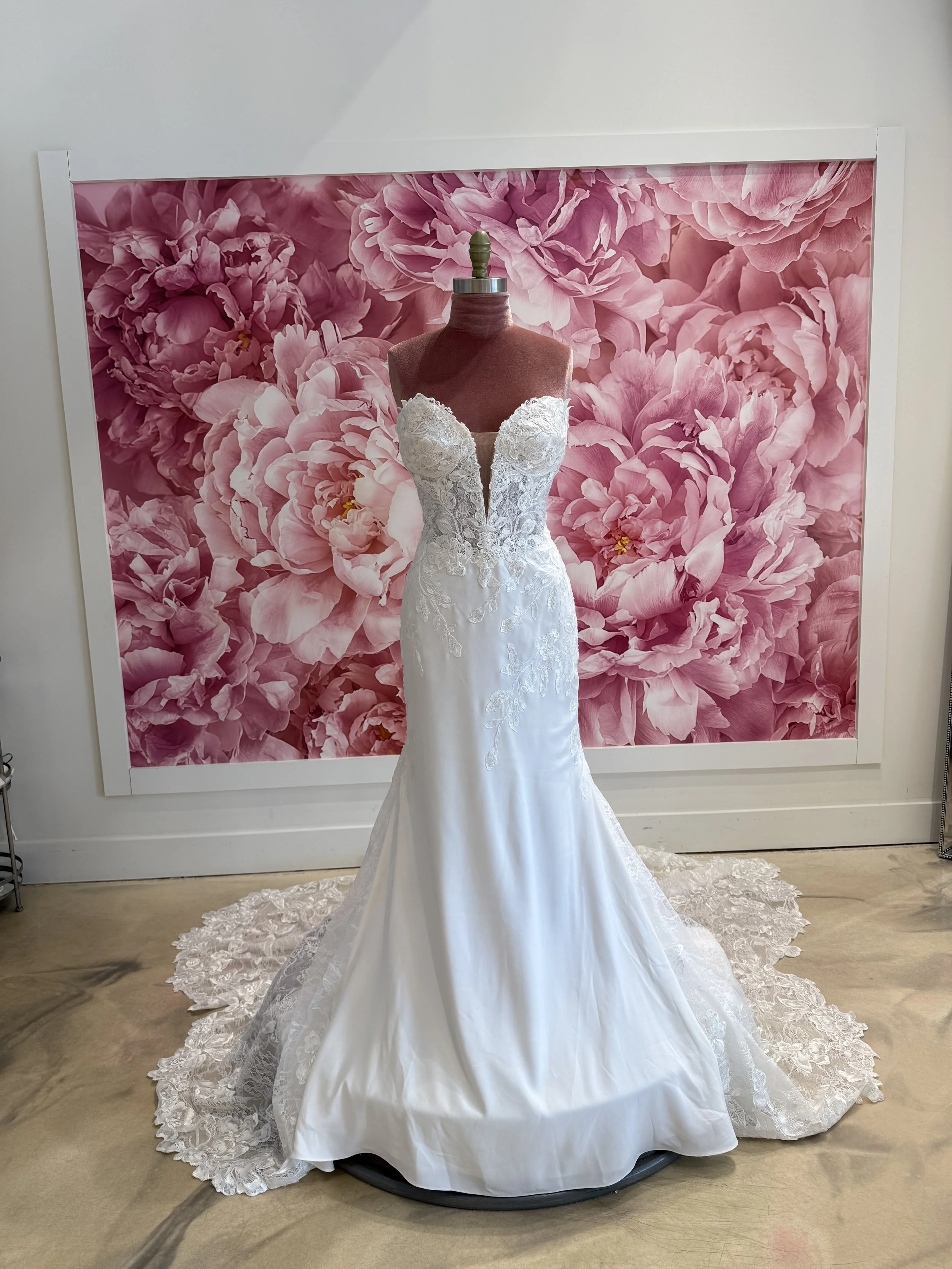 Photo Mar 13 2026, 2 25 17 PM.jpg