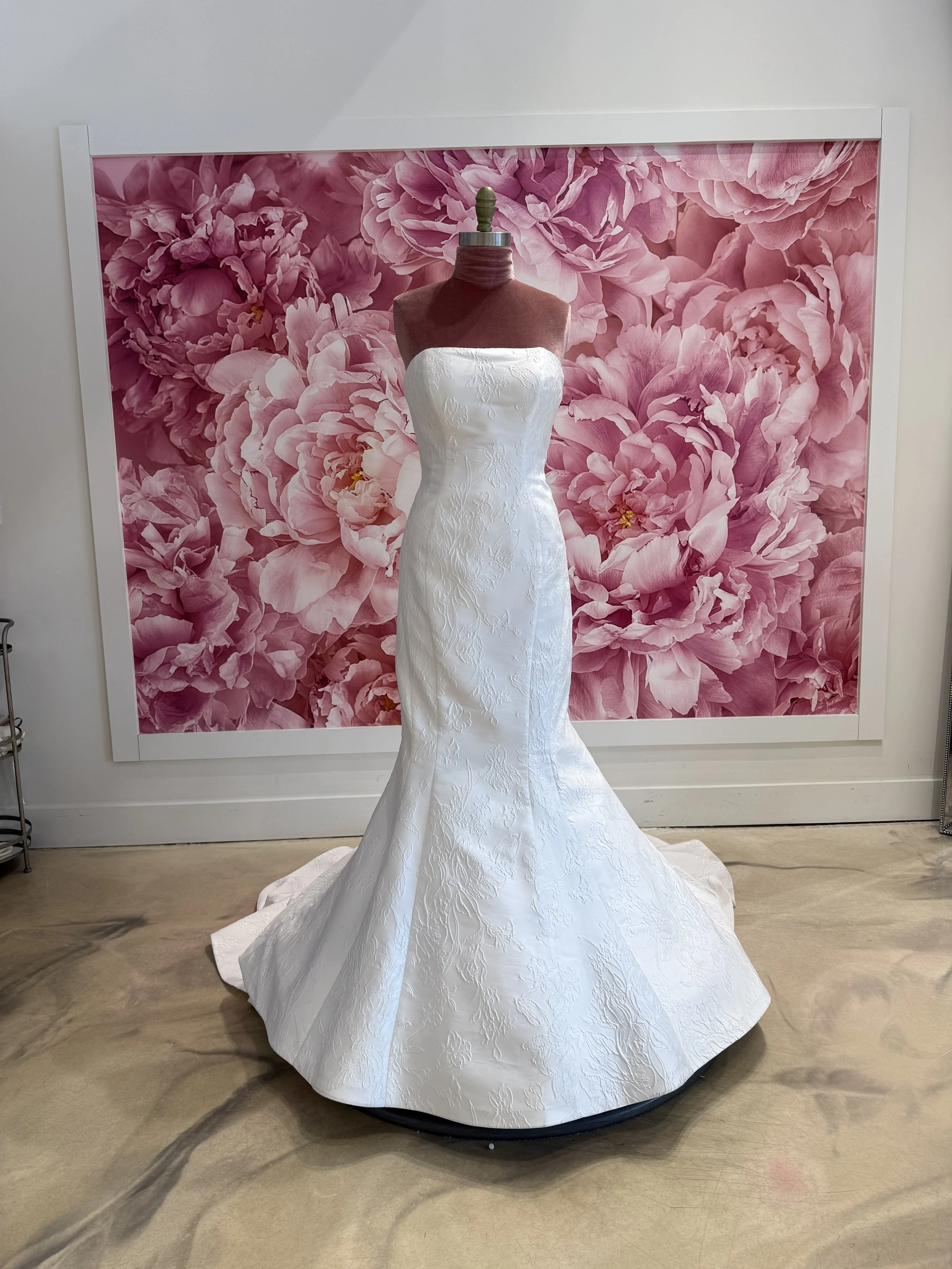 Photo Mar 13 2026, 3 58 54 PM.jpg