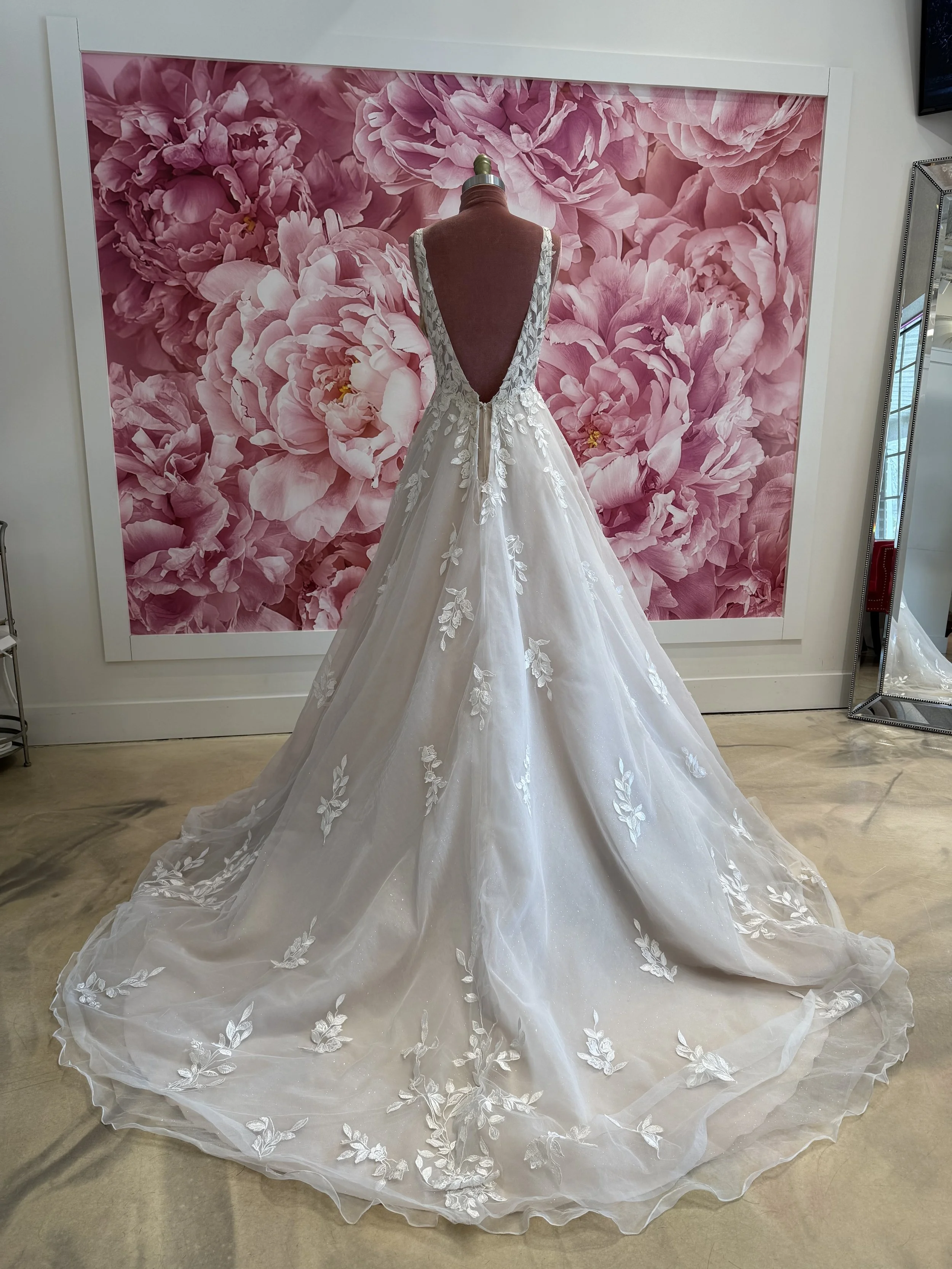 Photo Mar 13 2026, 1 48 29 PM.jpg