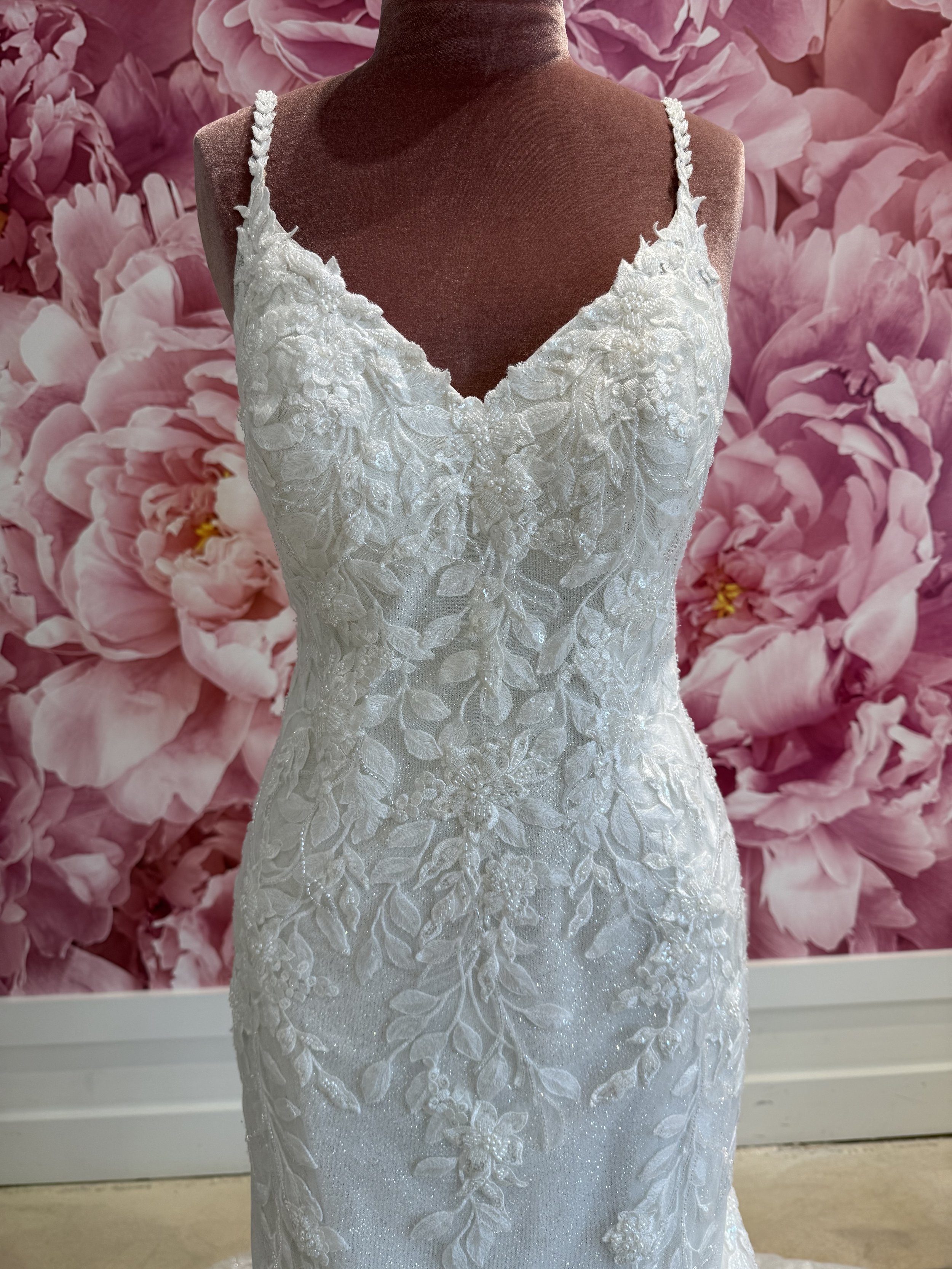 Photo Mar 13 2026, 2 06 36 PM.jpg