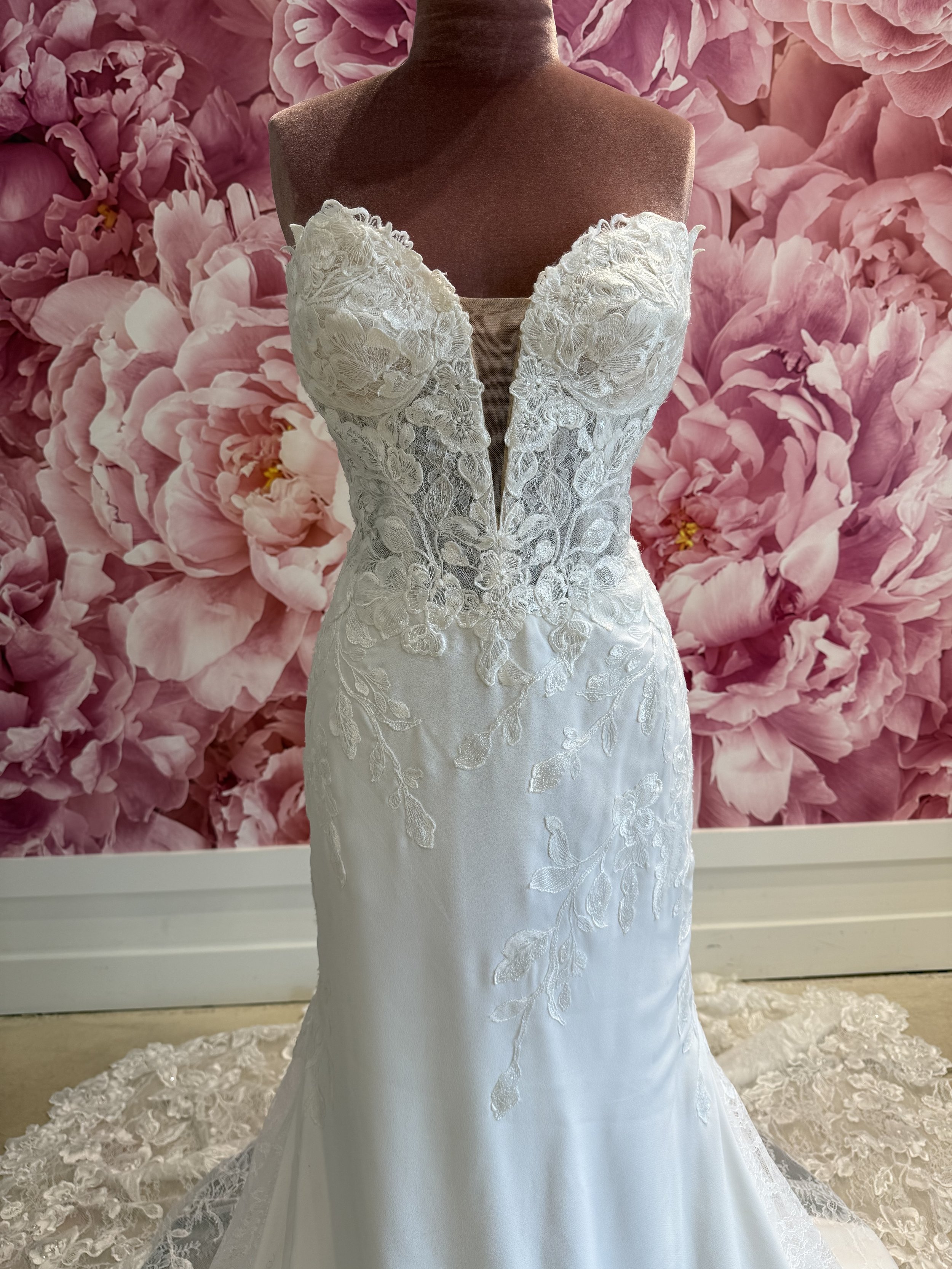 Photo Mar 13 2026, 2 25 24 PM.jpg