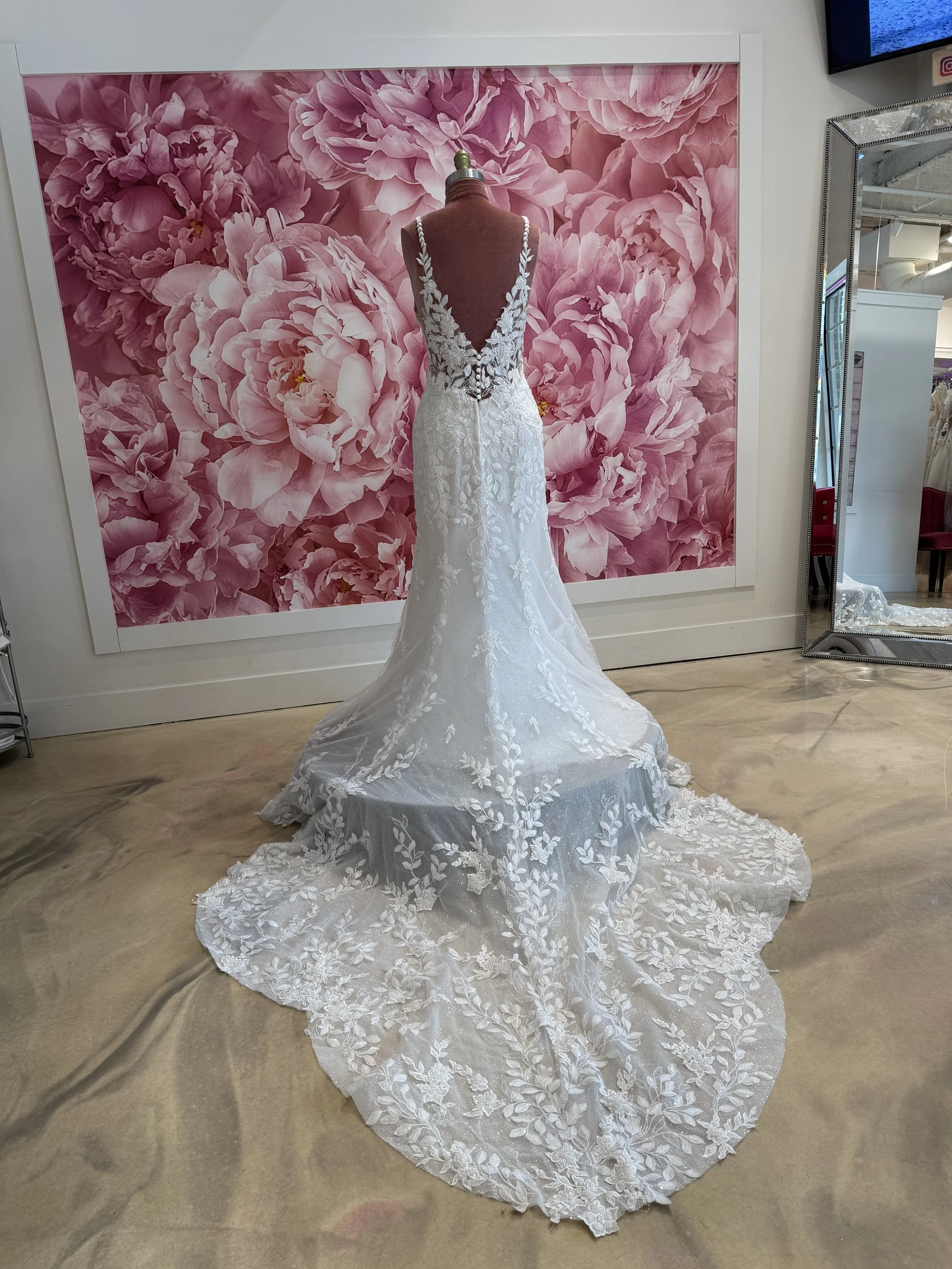 Photo Mar 13 2026, 2 07 37 PM.jpg