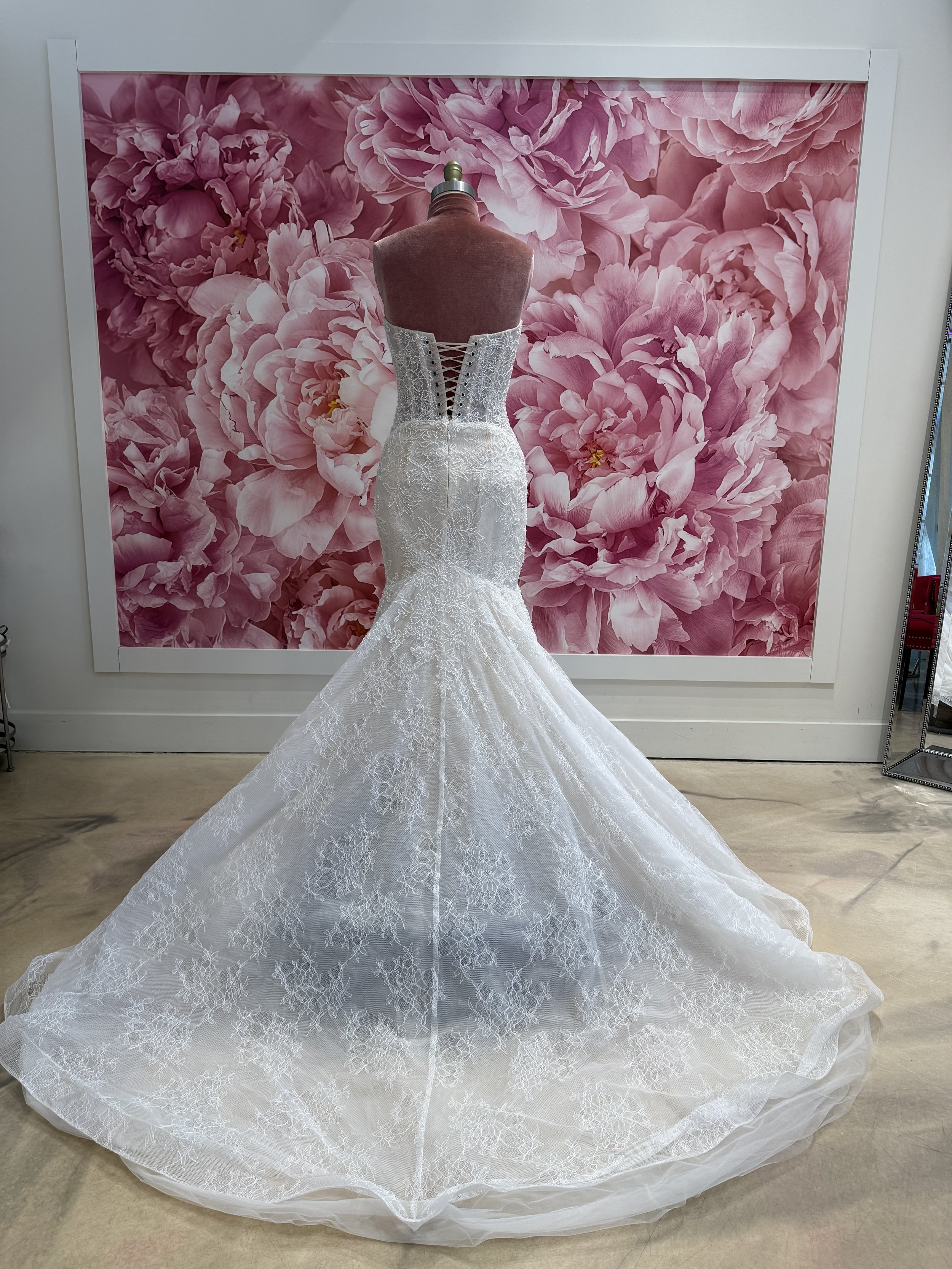 Photo Mar 13 2026, 4 10 50 PM.jpg