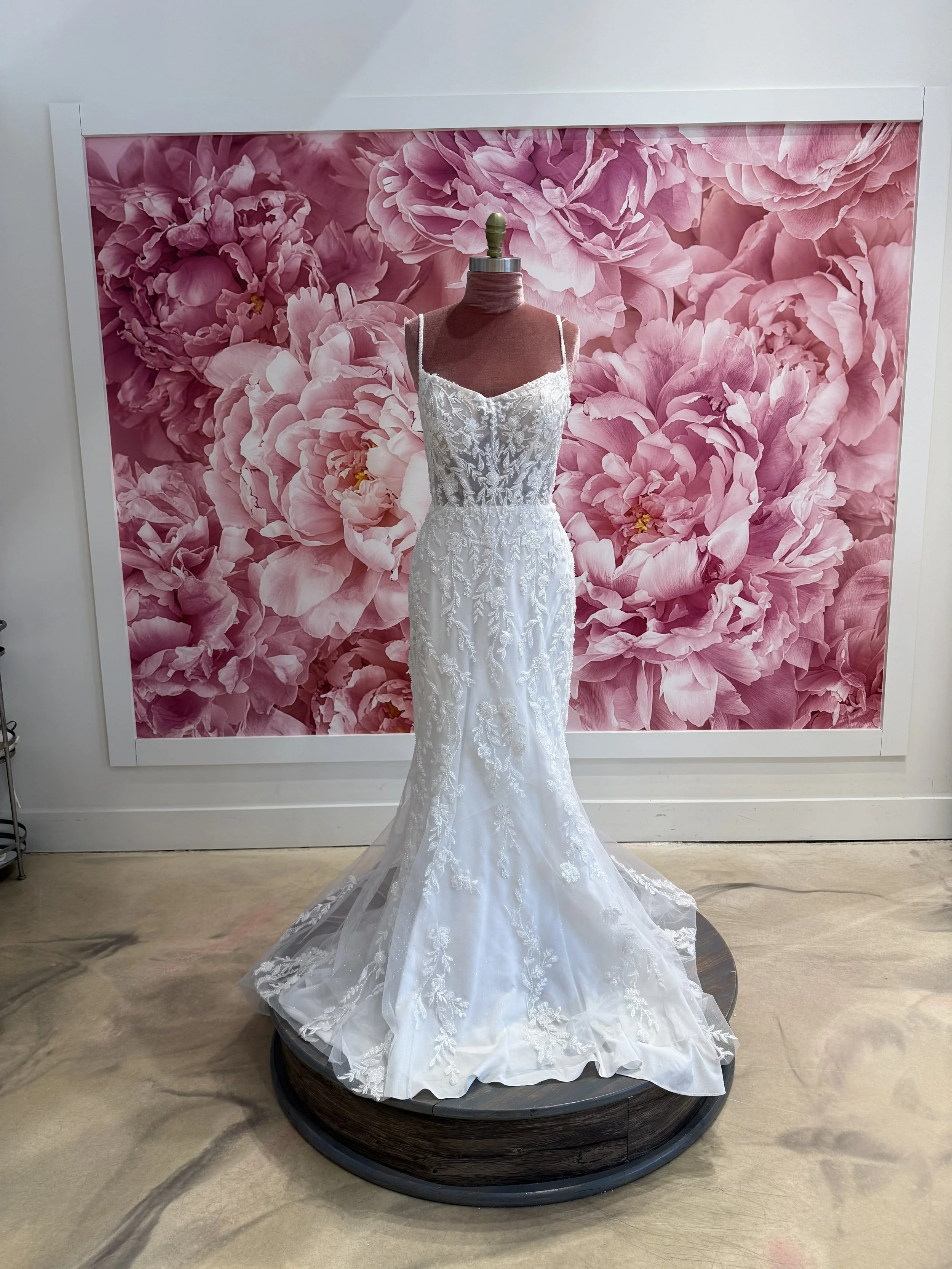 Photo Mar 13 2026, 3 27 54 PM.jpg