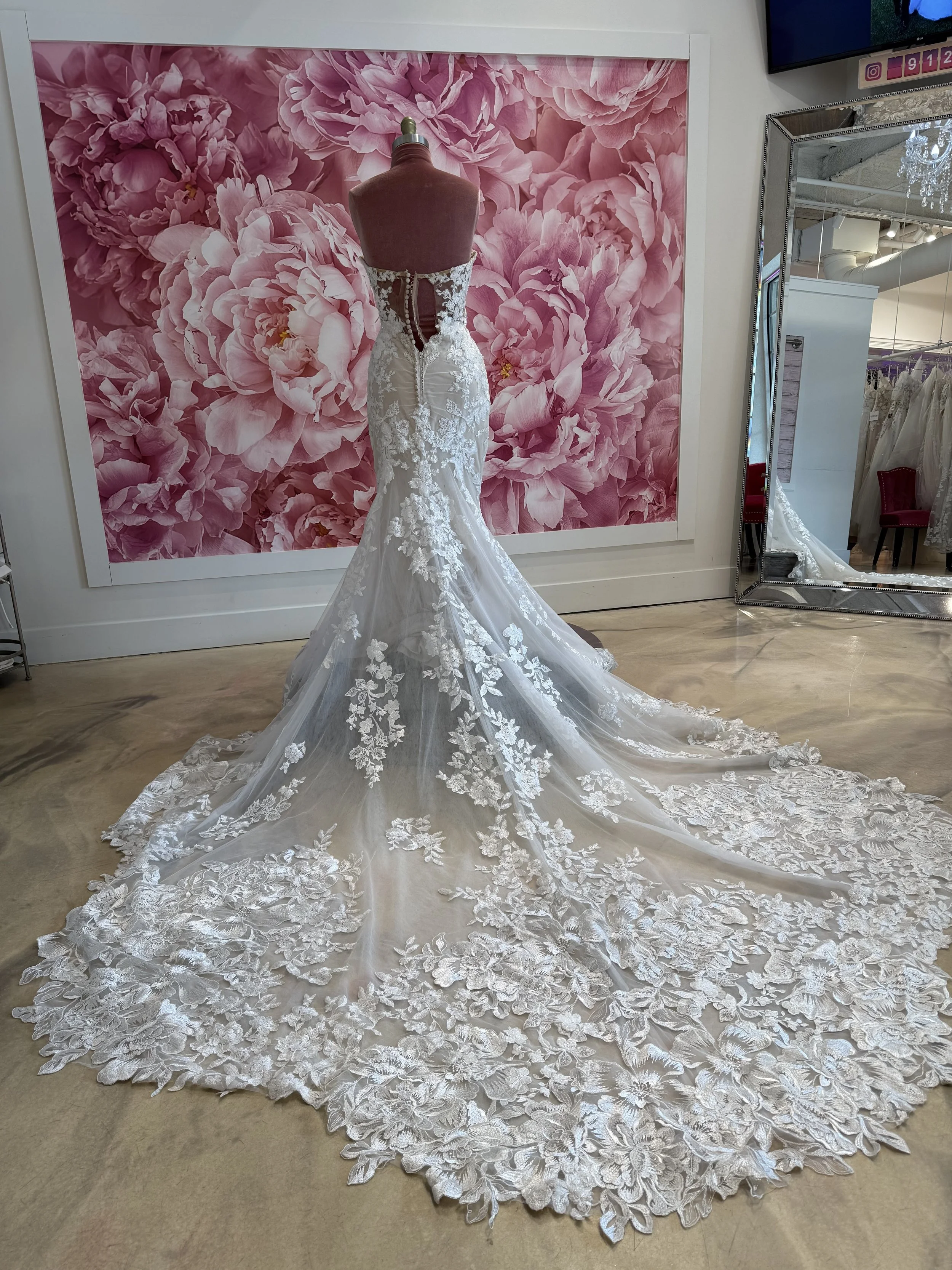 Photo Mar 13 2026, 2 01 24 PM.jpg