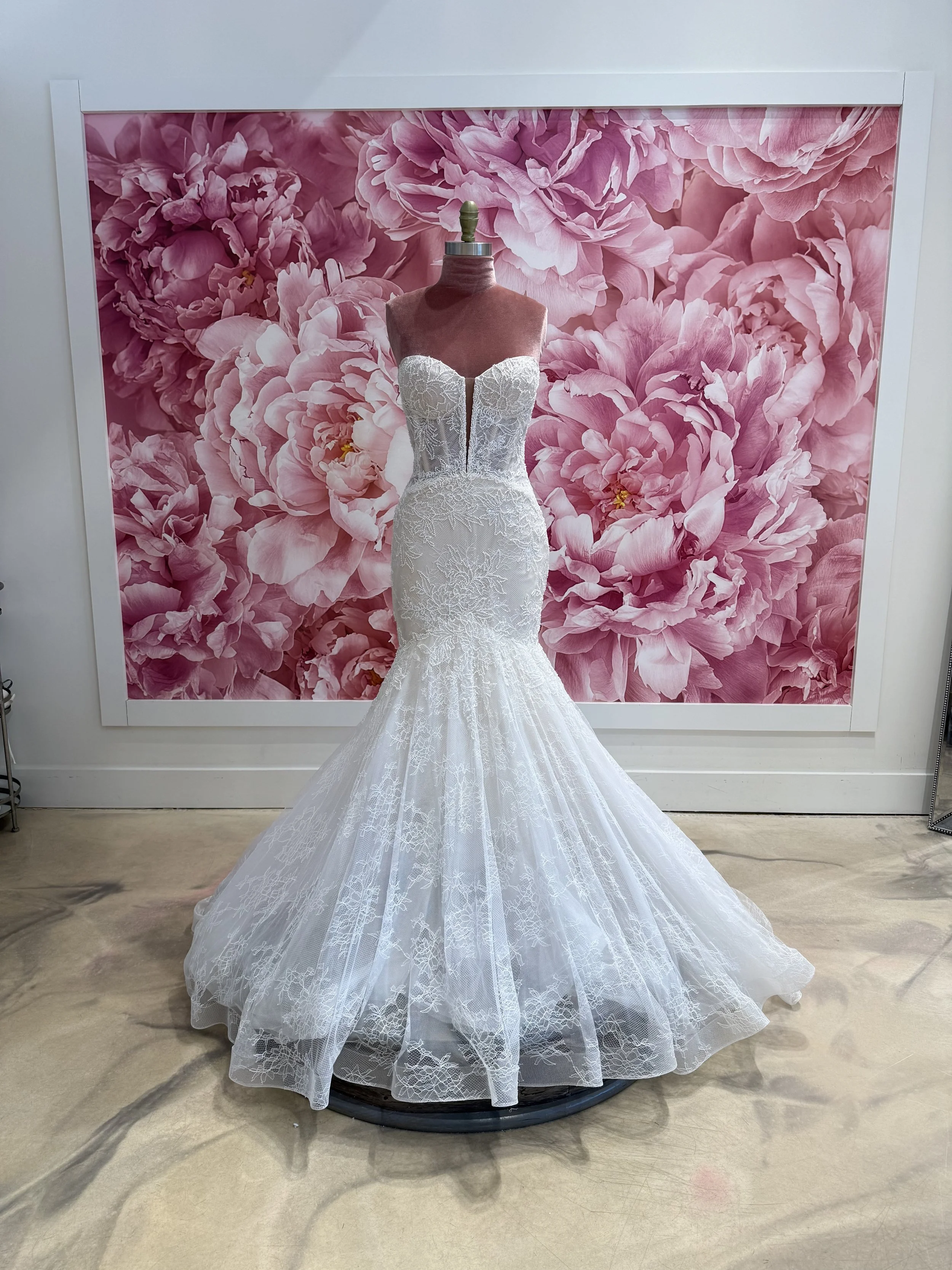 Photo Mar 13 2026, 4 10 01 PM.jpg