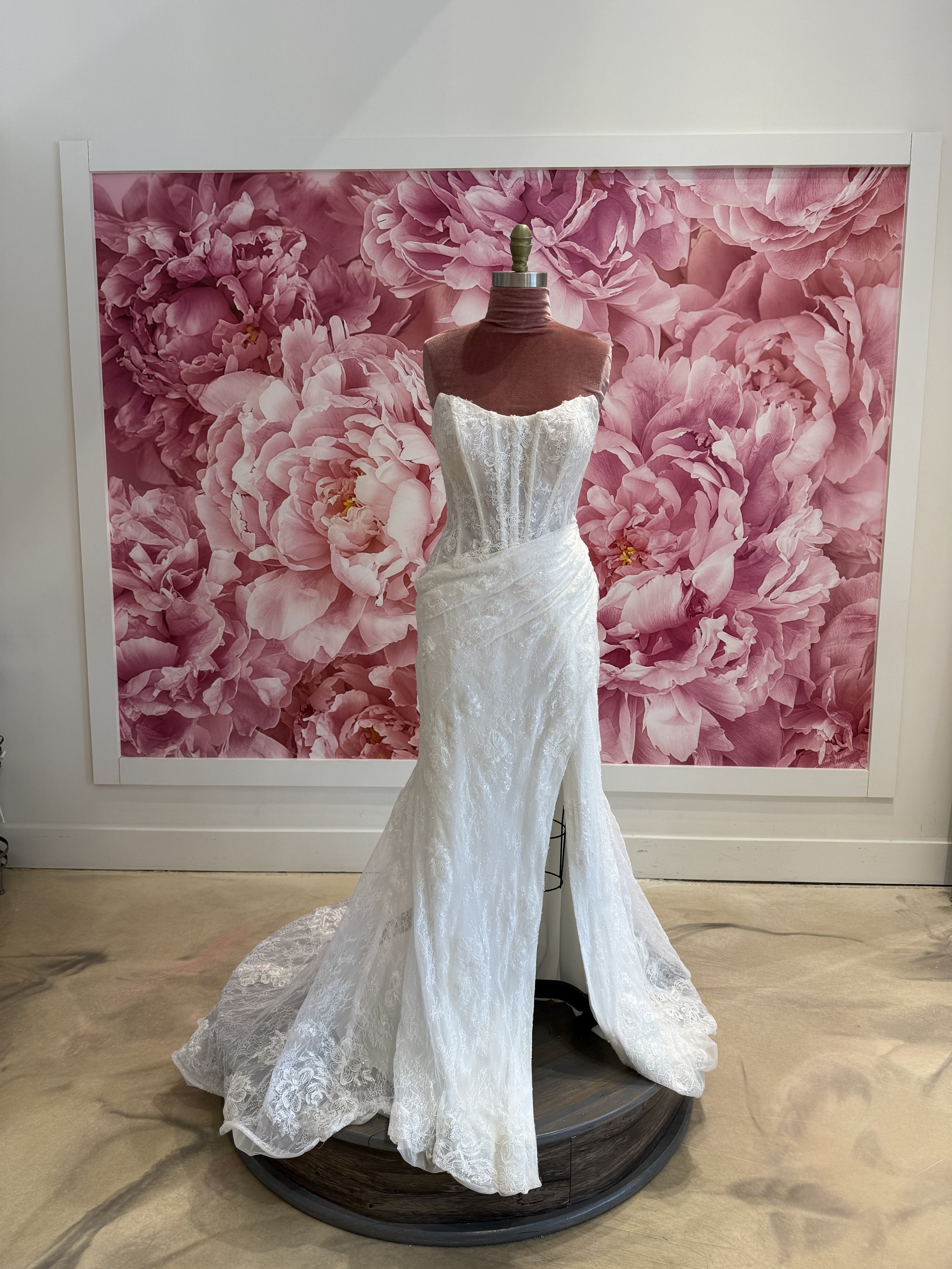 Photo Mar 13 2026, 3 09 50 PM.jpg