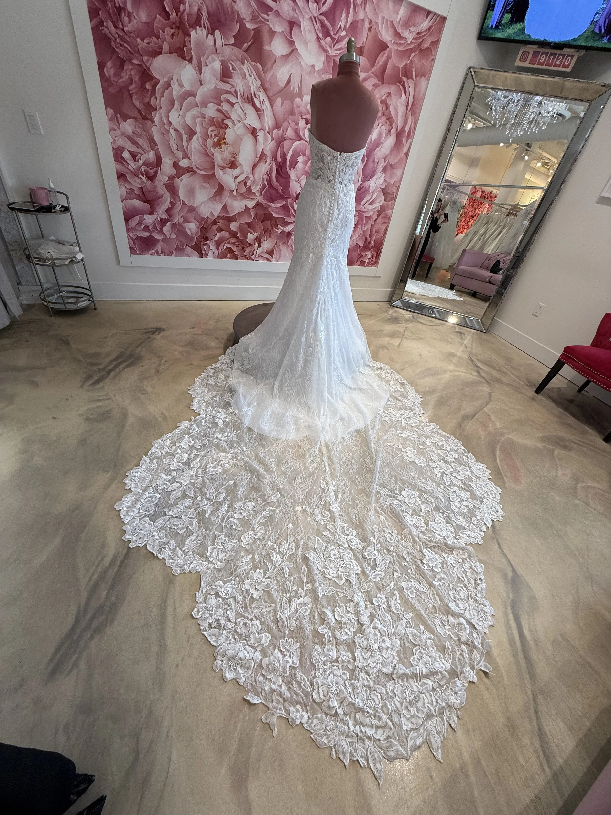 Photo Mar 13 2026, 2 28 55 PM.jpg