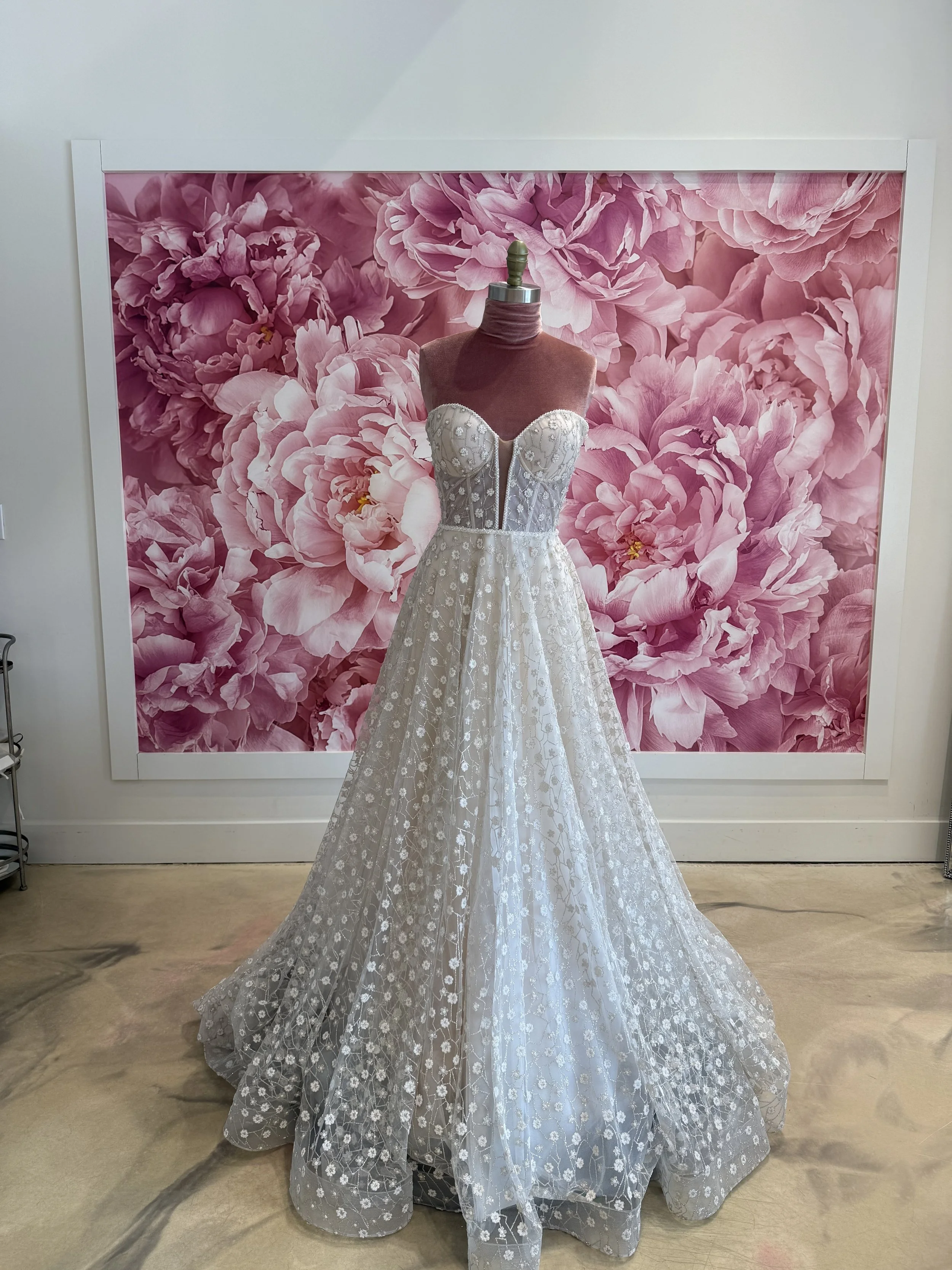 Photo Mar 13 2026, 12 28 04 PM (1).jpg