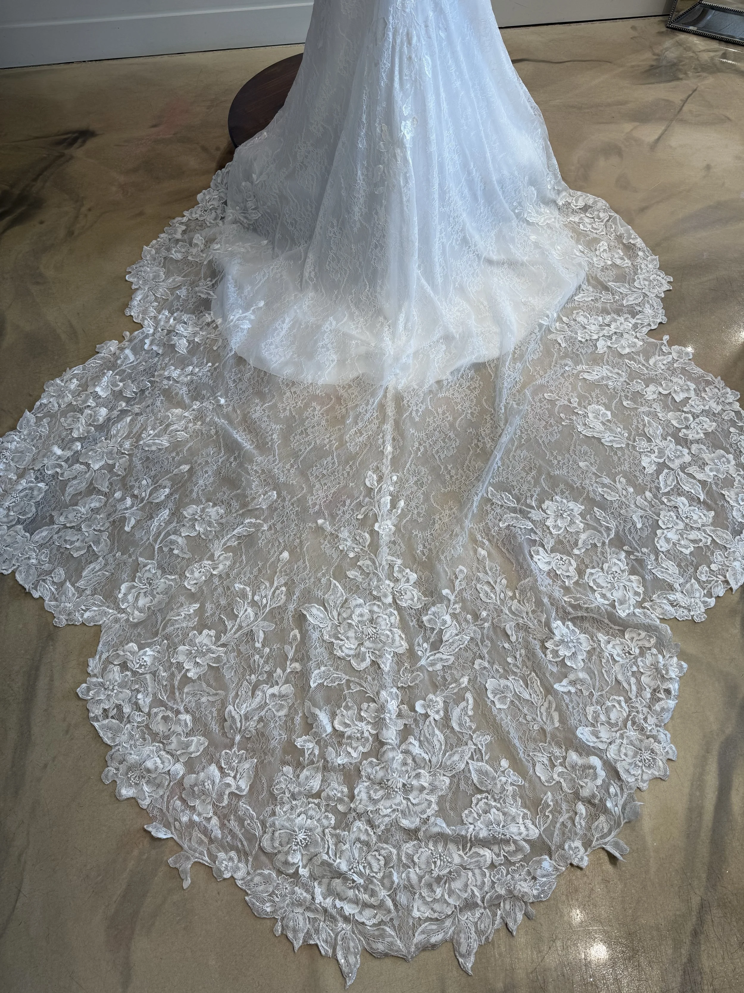 Photo Mar 13 2026, 2 28 35 PM.jpg