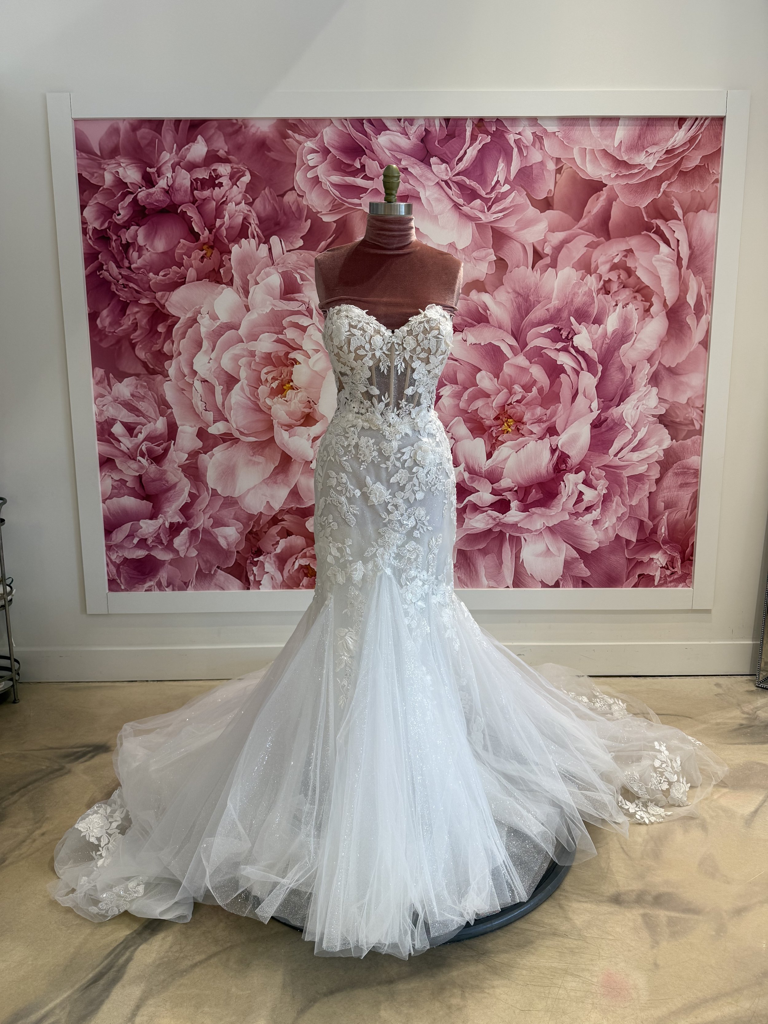 Photo Mar 13 2026, 3 42 18 PM.jpg