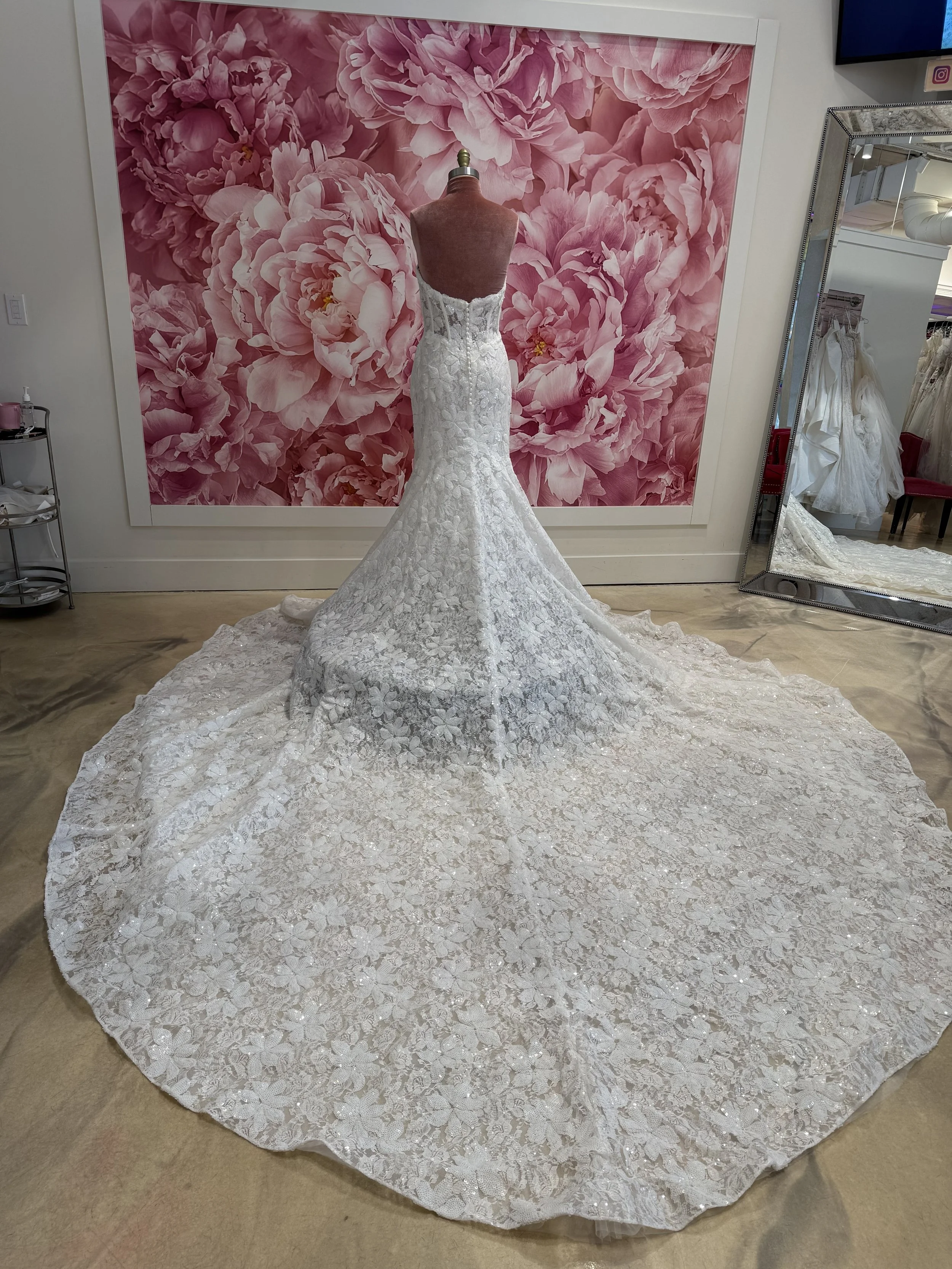 Photo Mar 13 2026, 4 15 55 PM.jpg