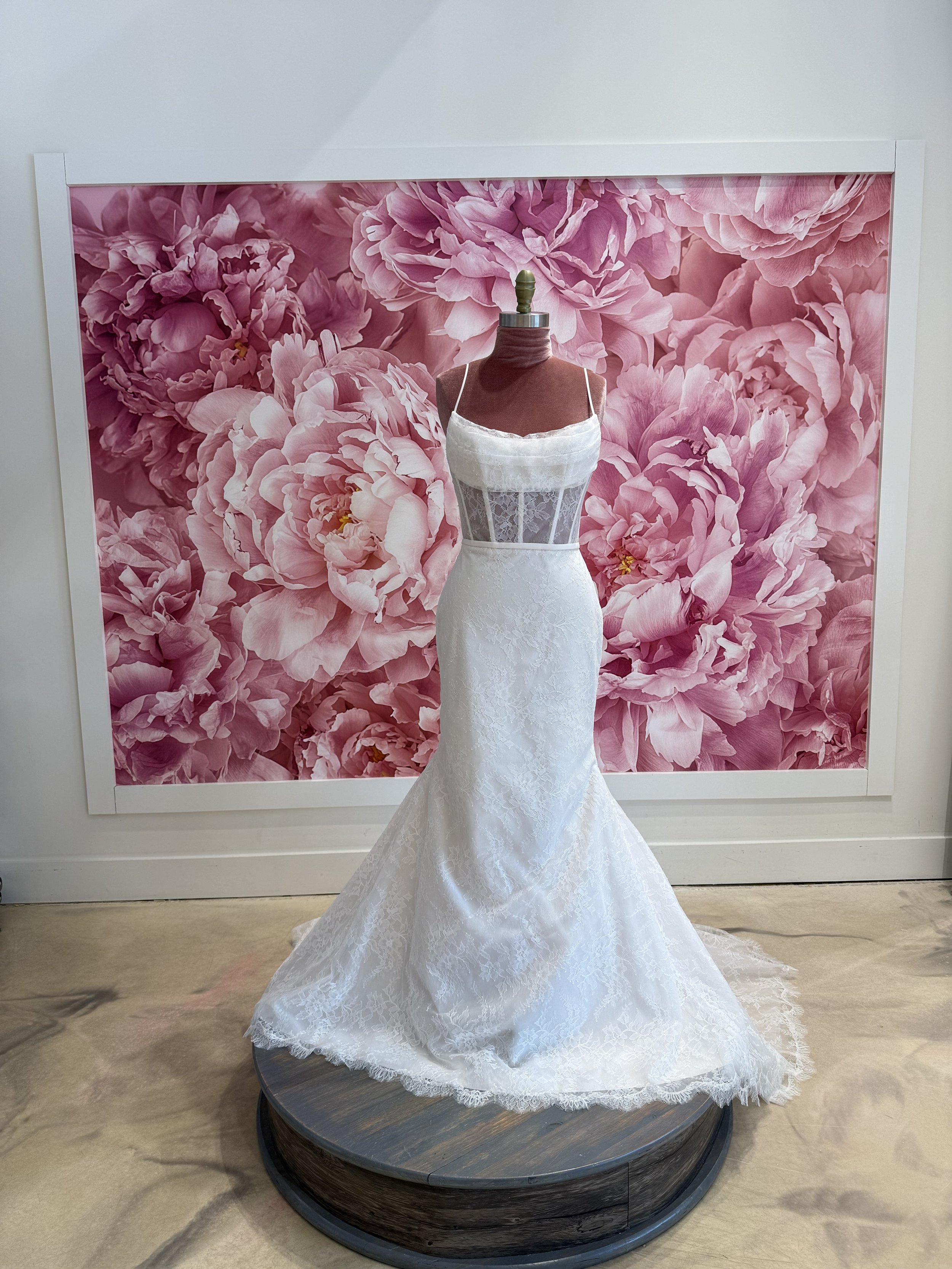 Photo Mar 13 2026, 2 12 40 PM.jpg